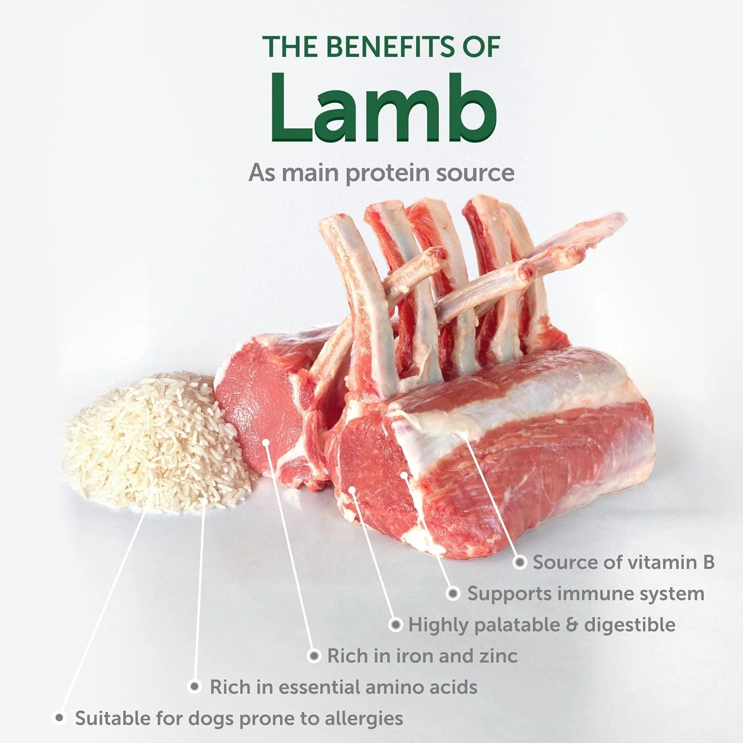 غذای خشک سگ نژاد کوچک Nature's Protection - رژیم غذایی پروتئین بالا برای از بین بردن لکه اشک برای سگ های بالغ با خز سفید و روشن - تکه های کوچک (مراقبت عالی - بره و برنج، 1.5 کیلوگرم)