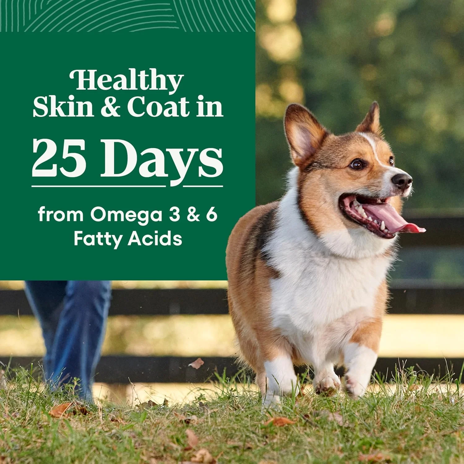 غذای خشک سگ بالغ نژاد کوچک نوتریو نچرال چویس، طعم مرغ و برنج قهوه ای، کیسه 5 پوندی