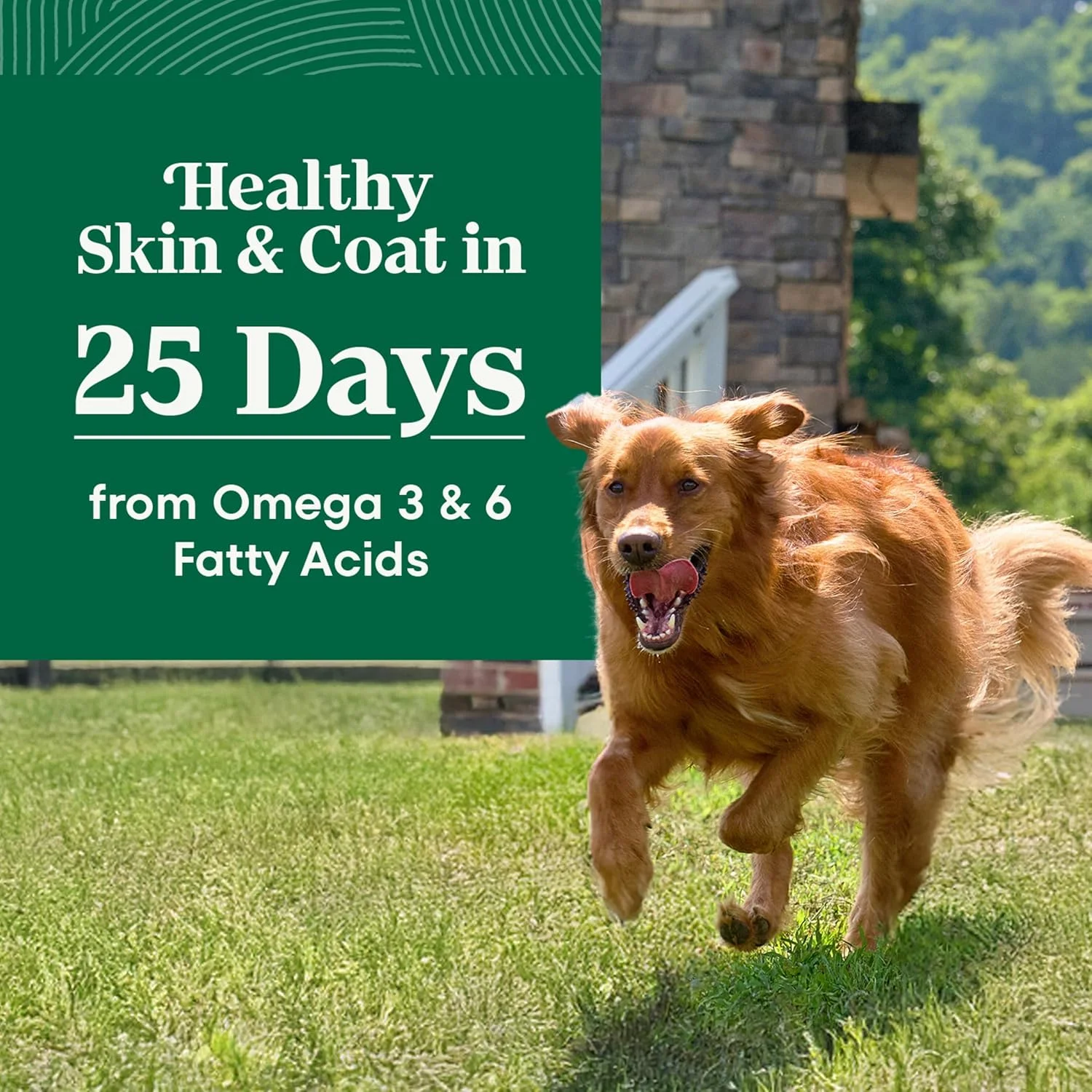 غذای خشک سگ بالغ نژاد بزرگ NUTRO NATURAL CHOICE، دستور پخت مرغ و برنج قهوه ای، کیسه 30 پوندی