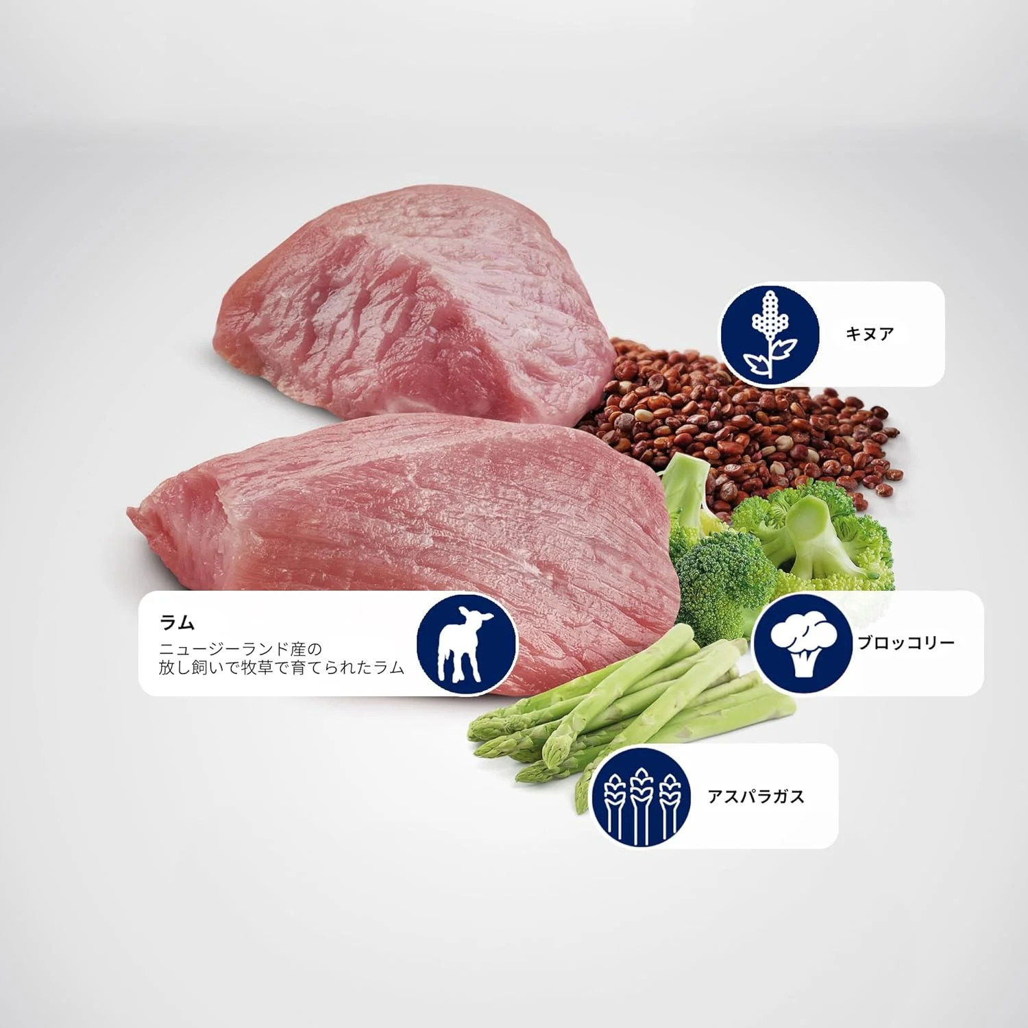 غذای سگ مینی با طعم بره برای مدیریت وزن غذای سگ مینی با طعم بره برای مدیریت وزن