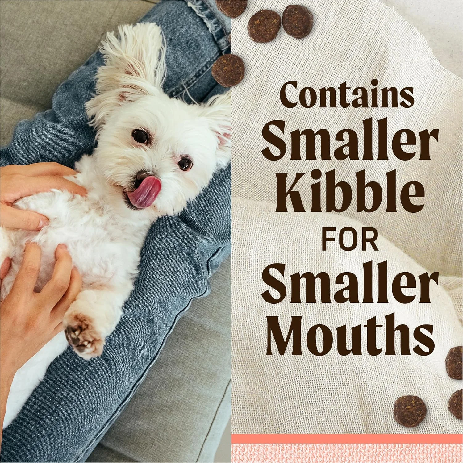 غذای خشک سگ بدون غلات مرغوب Merrick Lil’ Plates برای سگ های کوچک، ماهی سالمون واقعی و سیب زمینی شیرین - کیسه 12.0 پوندی