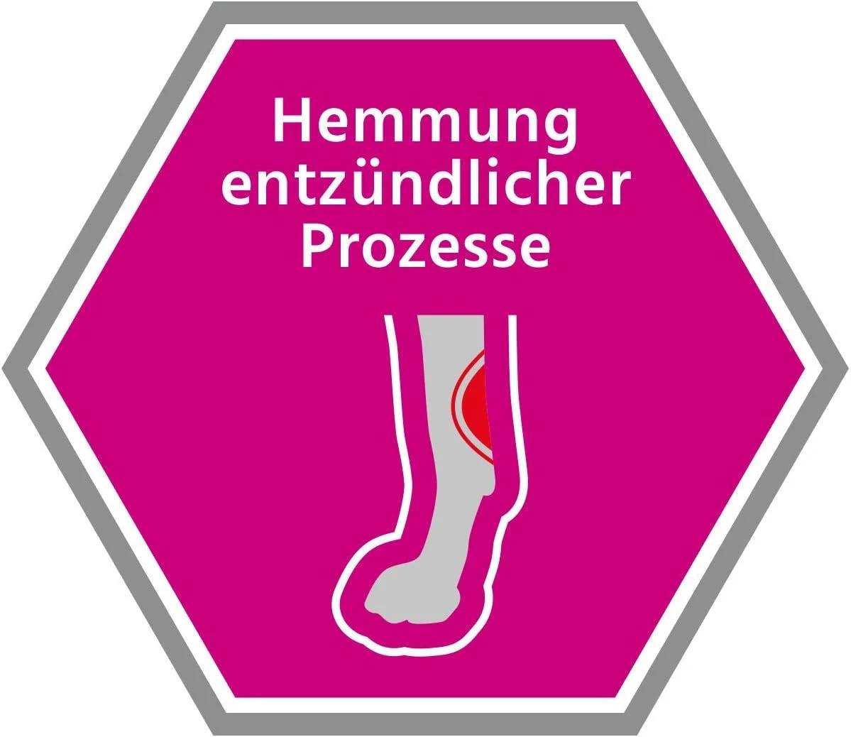 غذای خشک سگ مراویتال Skin Control - رژیم تخصصی برای سلامت پوست، حمایت از آلرژی و بازسازی خز 3 کیلوگرم