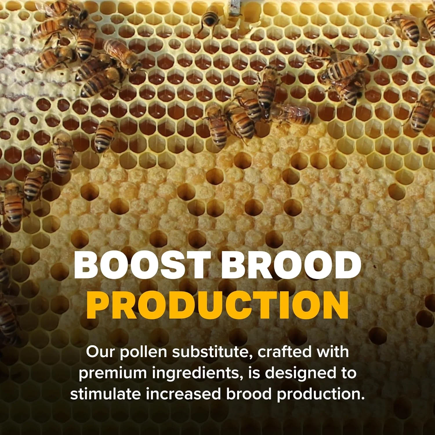 ظرف غذای خشک زنبور عسل Mann Lake FD210 Ultra Bee، 4.5 کیلوگرمی