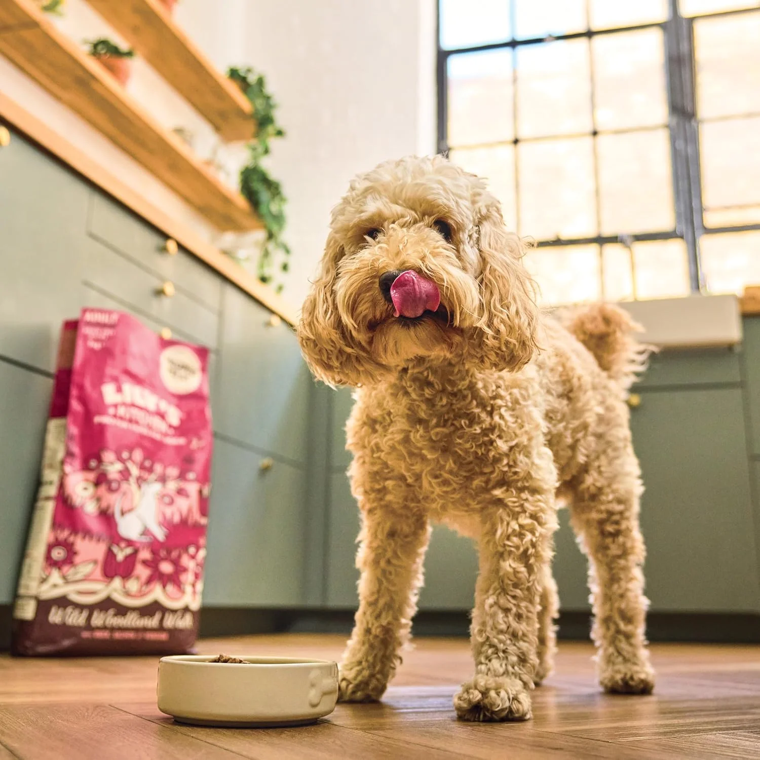 غذای خشک سگ بالغ بدون غلات با گوشت گوزن و اردک LILY'S KITCHEN - 12 کیلوگرم