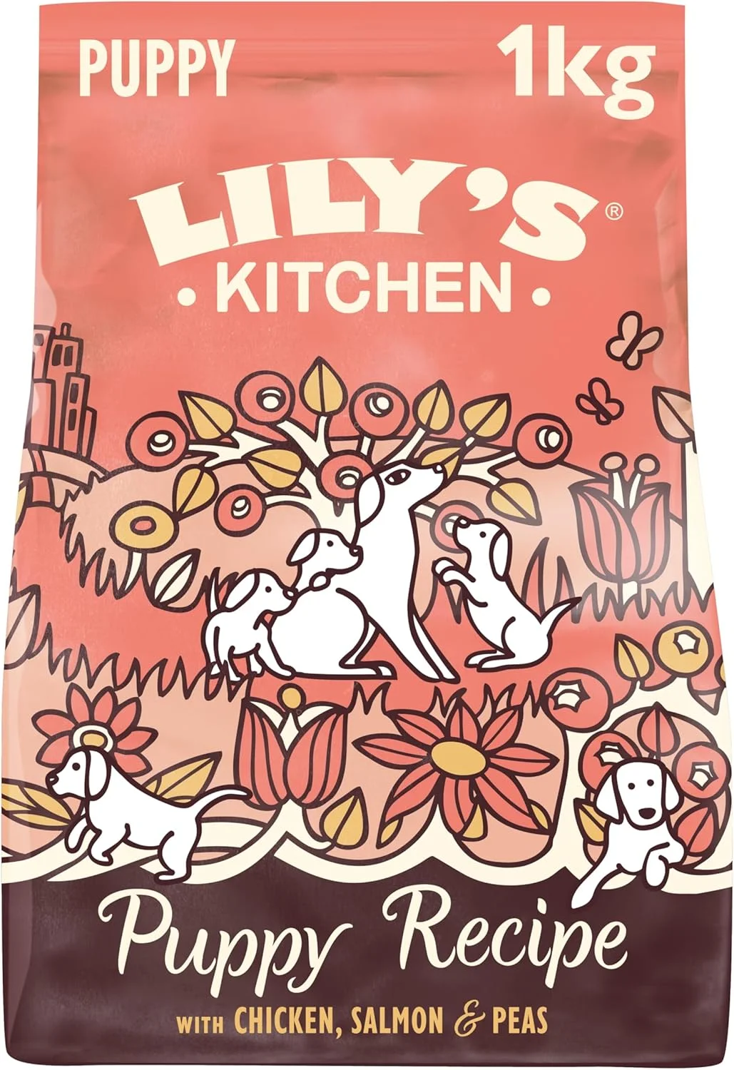غذای خشک سگ نژاد کوچک Lily's Kitchen با طعم مرغ، ماهی سالمون و نخود - 1 کیلوگرم