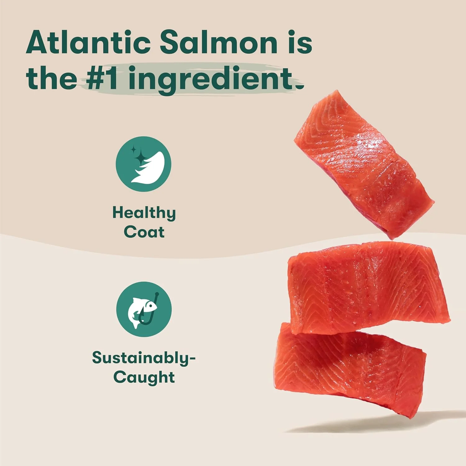 غذای خشک سگ بدون غلات ممتاز Jinx، مناسب برای تمام مراحل زندگی - ماهی سالمون واقعی، سیب زمینی شیرین و هویج، غذای خشک توله سگ با سوپرفودها برای حمایت از سیستم ایمنی و پروبیوتیک ها برای حمایت از دستگاه گوارش - بدون مواد افزودنی - 4 پوند