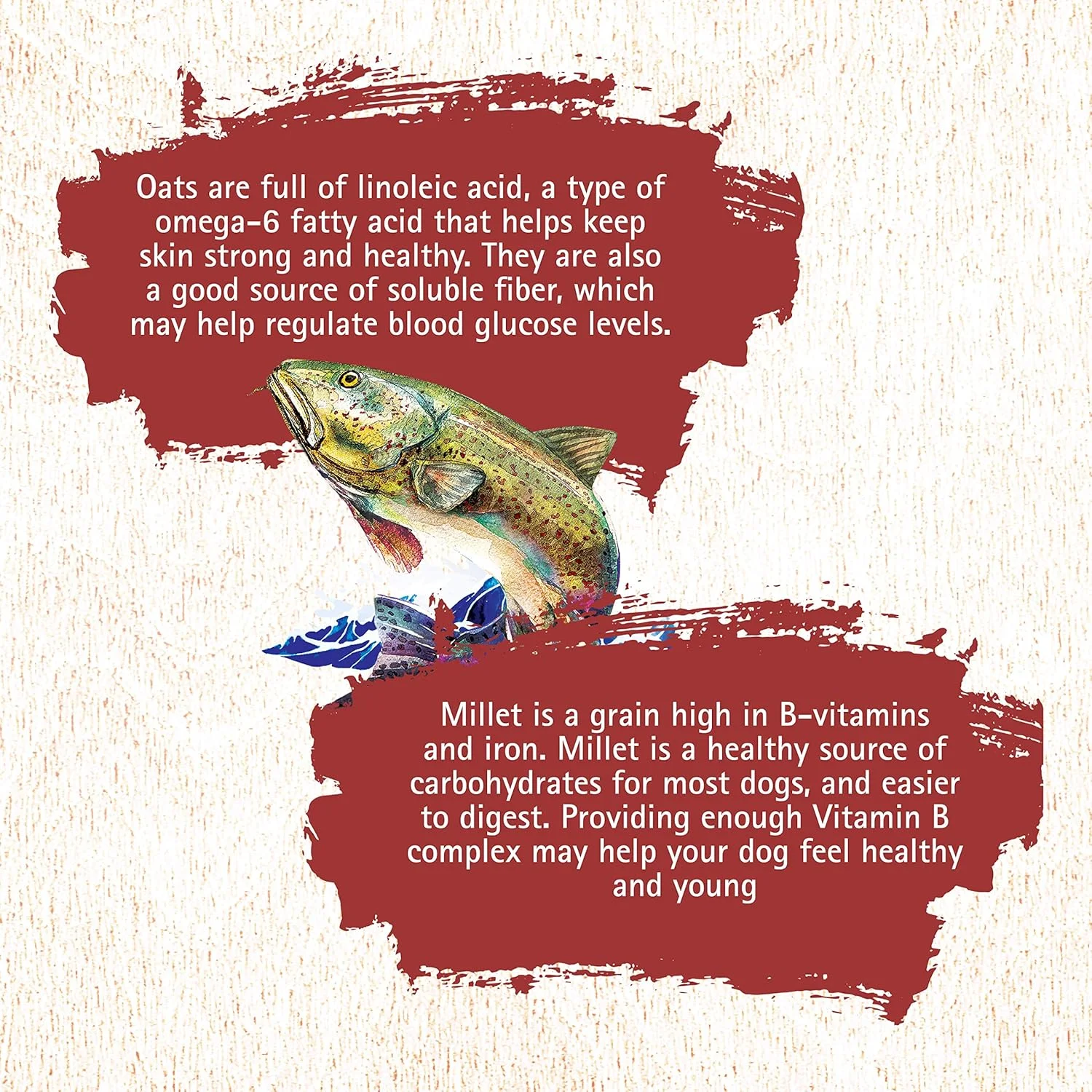 غذای خشک سگ اینسپشن 4 پوند مدل 13278