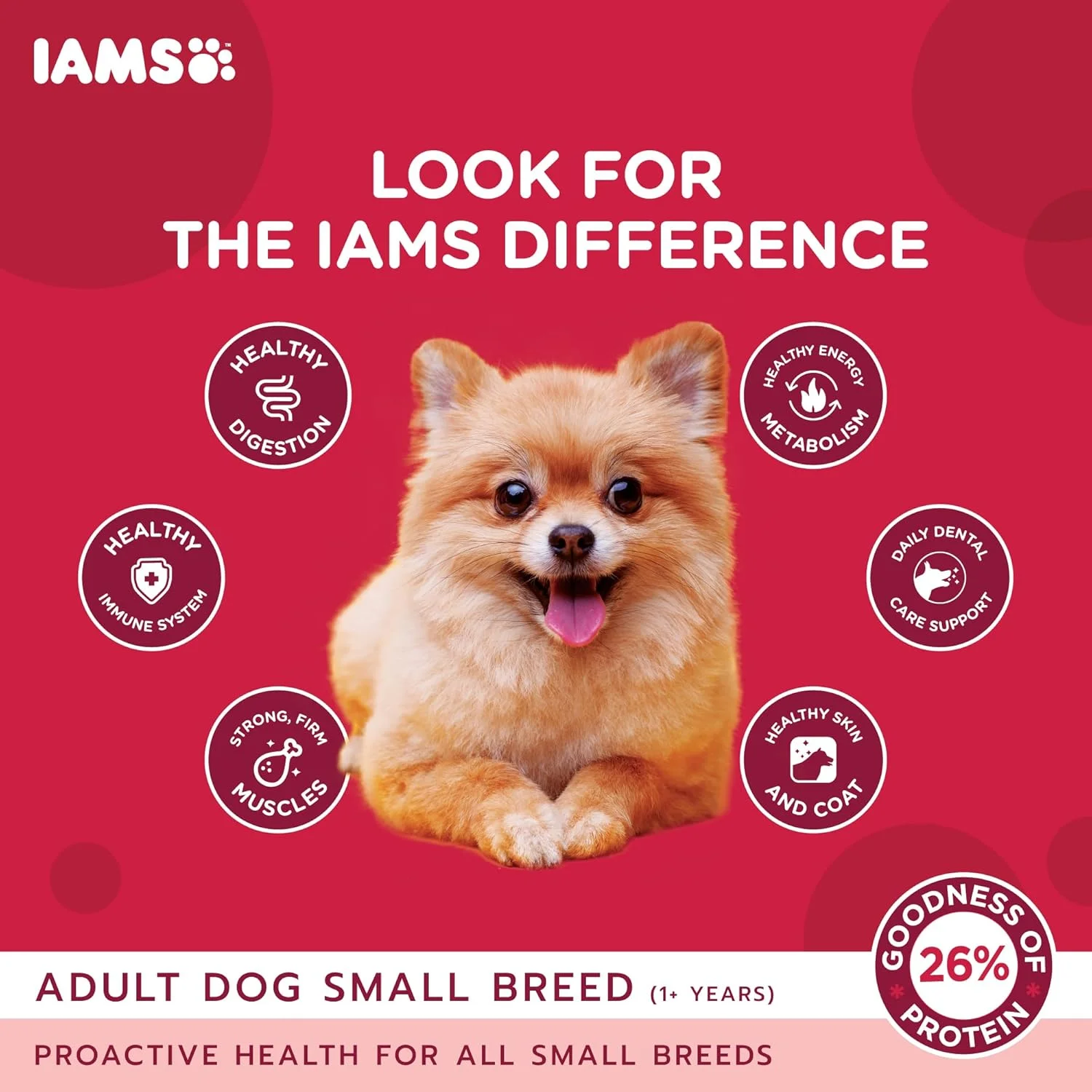 غذای خشک سگ نژاد کوچک بالغ IAMS Proactive Health، 1.5 کیلوگرم، غذای خشک کامل و متعادل برای نژادهای کوچک