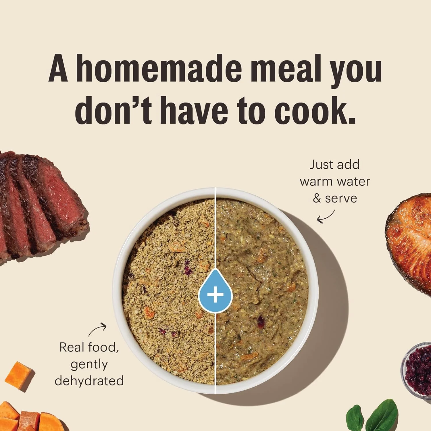 غذای سگ بدون غلات خشک شده با کیفیت انسانی The Honest Kitchen - غذای کامل یا مکمل غذای سگ - ماهی 10 پوند (40 پوند غذا می دهد)