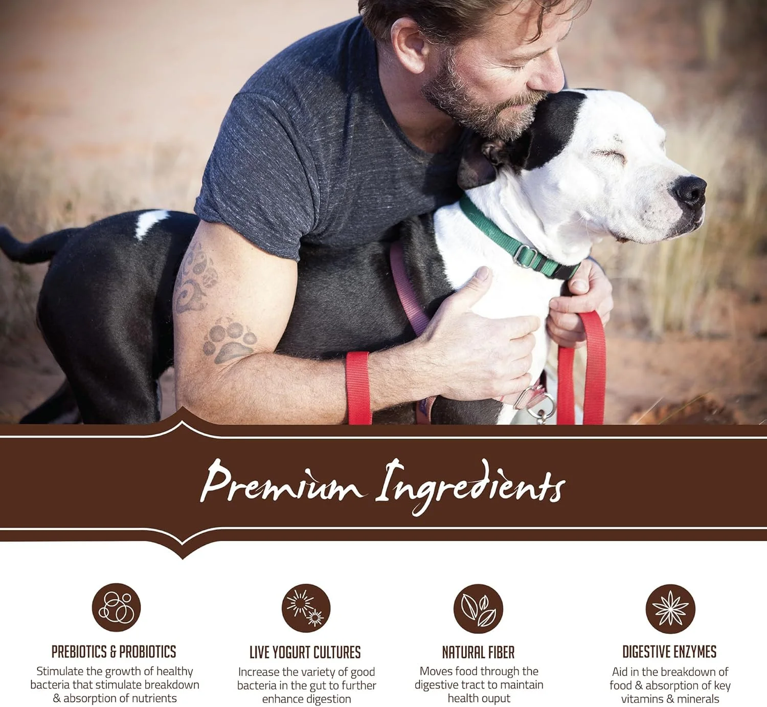 غذای خشک سگ بدون غلات Holistic Select، مخصوص بزرگسالان و توله سگ، با طعم ماهی سالمون، آنچوی و ساردین، کیسه 24 پوندی، دستور پخت سلامت بزرگسالان و توله سگ، 24 پوند (31102)