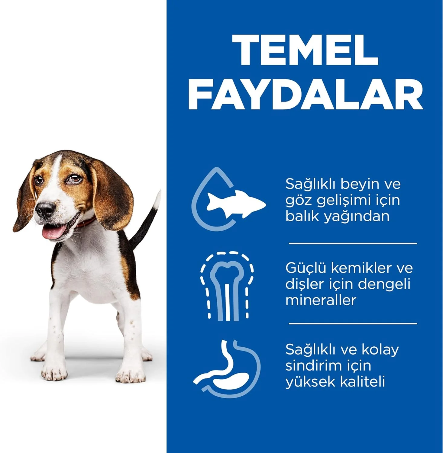 غذای خشک سگ نژاد متوسط هیلز ساینس پلن مخصوص توله سگ با طعم بره و برنج ۱۴ کیلوگرمی