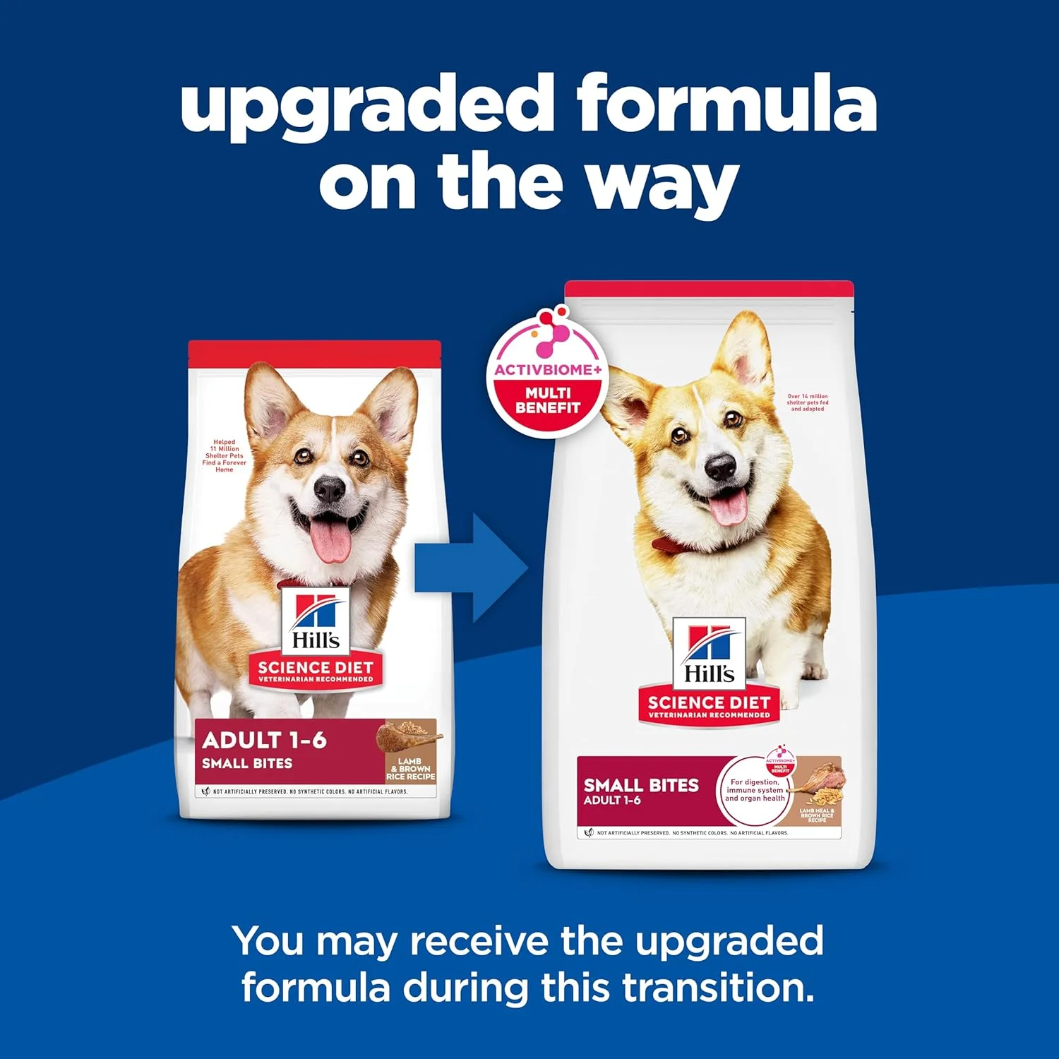 غذای خشک سگ بالغ هیلز ساینس دایت 1-6، تغذیه ممتاز بالغین 1-6، دانه ریز، طعم بره و برنج قهوه ای، کیسه 4.5 پوندی