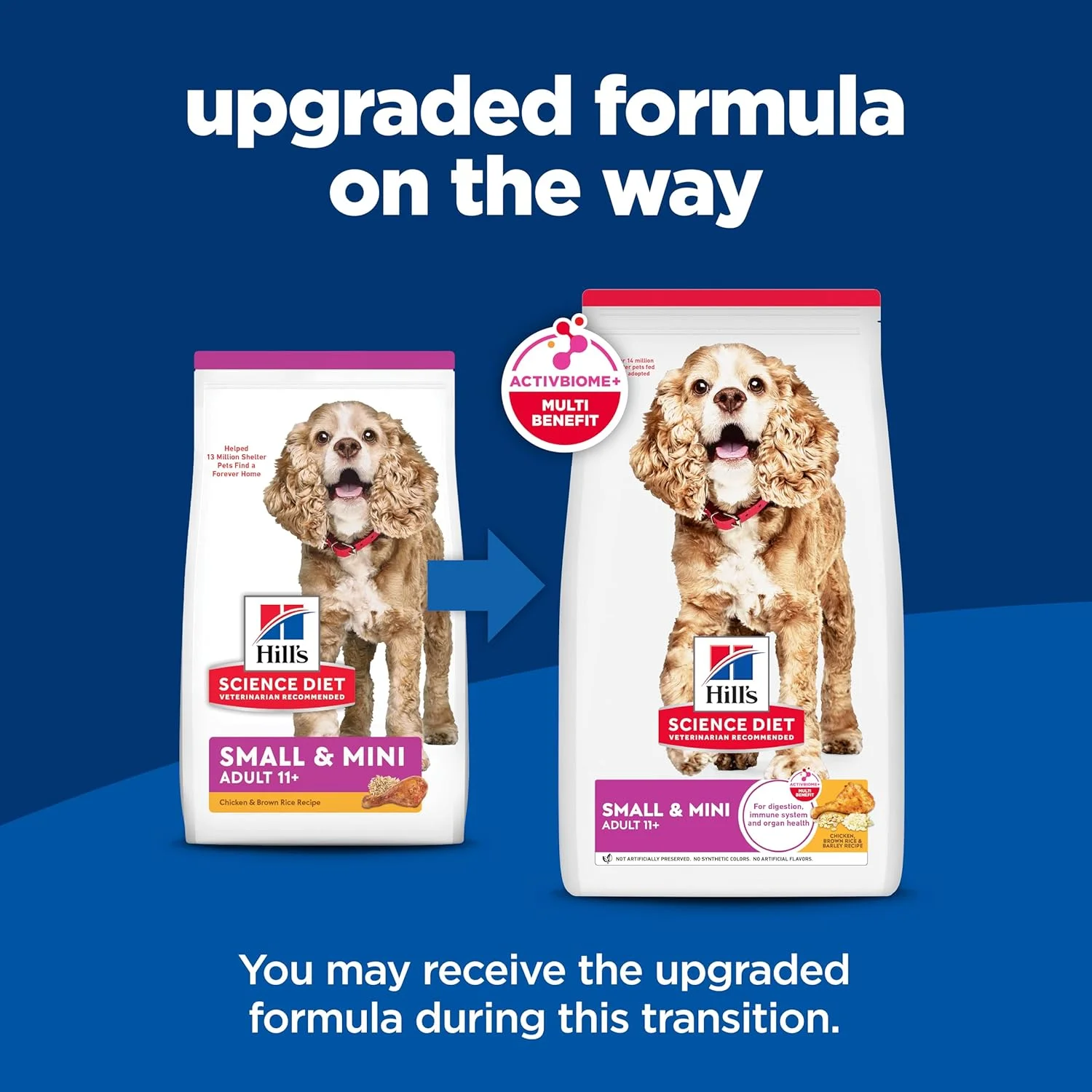 غذای خشک سگ نژاد کوچک و مینی هیلز ساینس دایت مخصوص سگ های بالای 11 سال با طعم مرغ، برنج قهوه ای و جو، 7 کیلوگرم