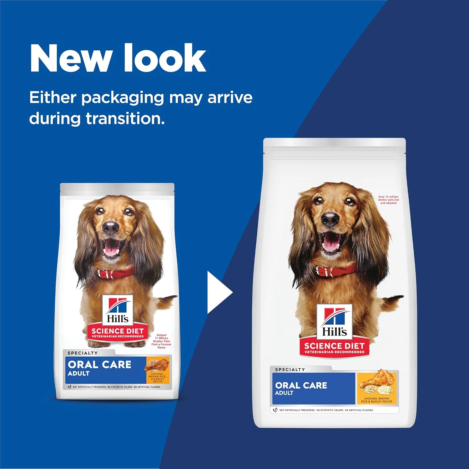 غذای سگ بالغ مراقبت از دهان و دندان هیلز ساینس دایت، طعم مرغ و برنج