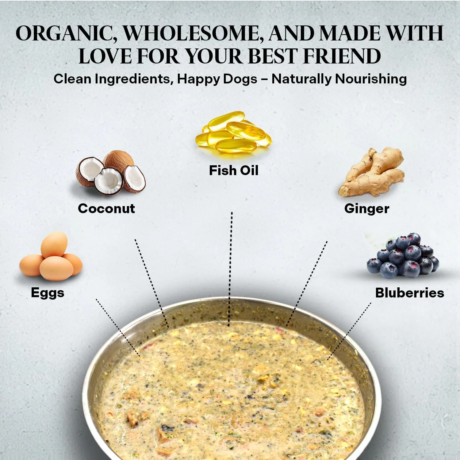 هلثی دوگما - PetMix پوست و مو - غذای سگ بدون گلوتن برای نژادهای کوچک و بزرگ با پوست حساس - برای پوشش و هضم (2 پوند)