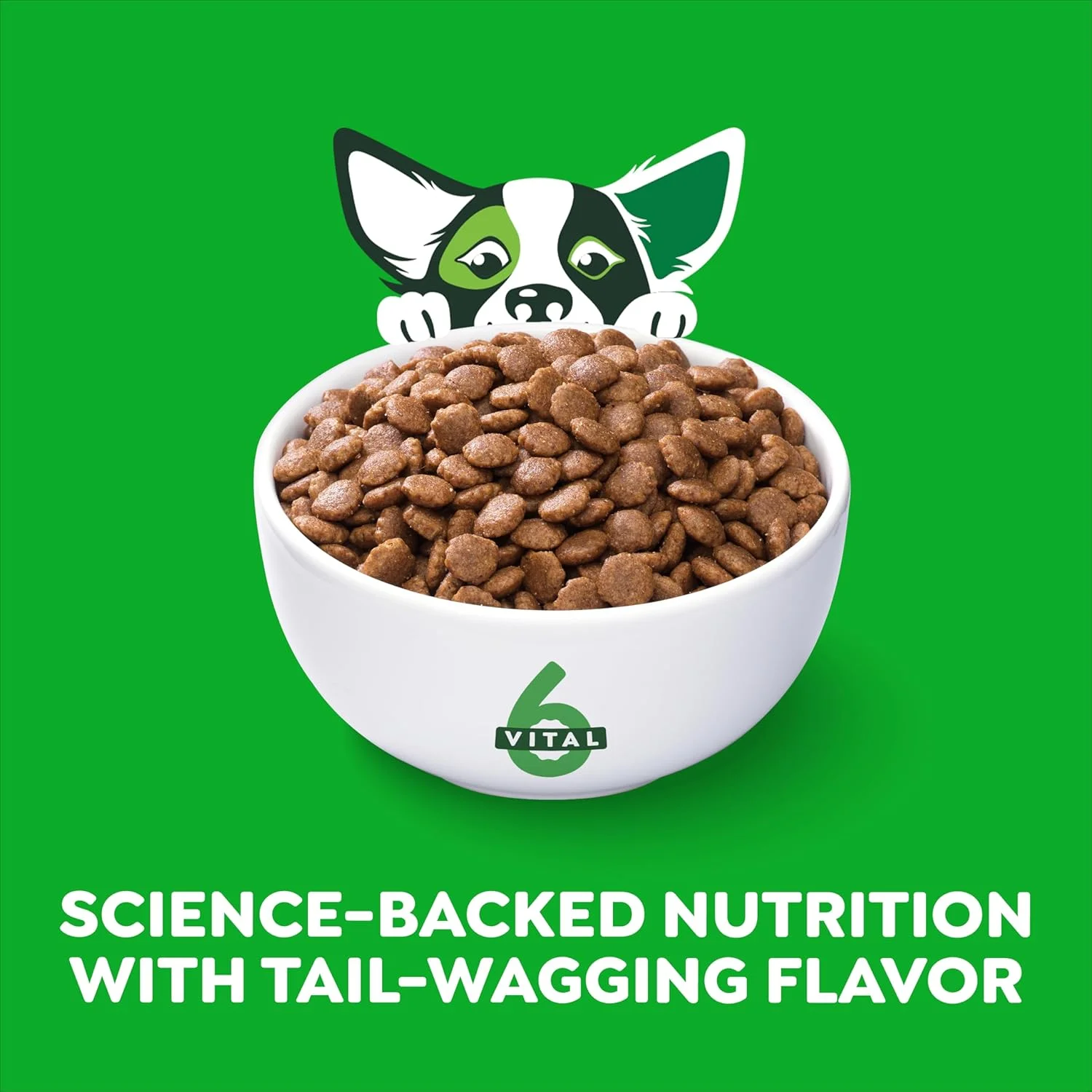 غذای خشک سگ بالغ نژاد کوچک گرینیز اسمارت اسنشیالز با پروتئین بالا، طعم مرغ و برنج، کیسه 6.12 کیلوگرمی