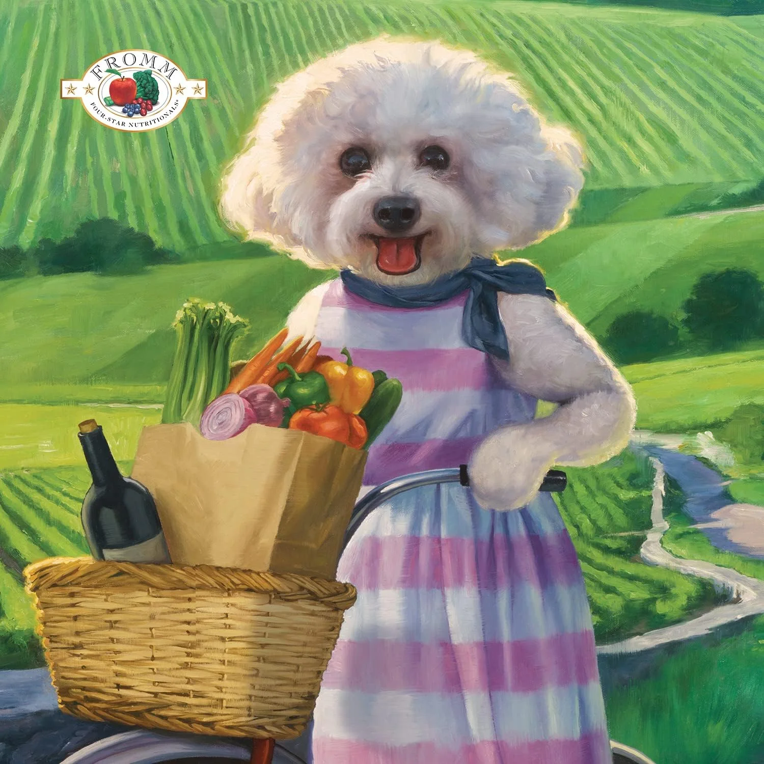 غذای سگ فروم Four-Star Nutritionals با طعم مرغ و پنیر - غذای خشک ممتاز سگ - دستور پخت مرغ - 26 پوند