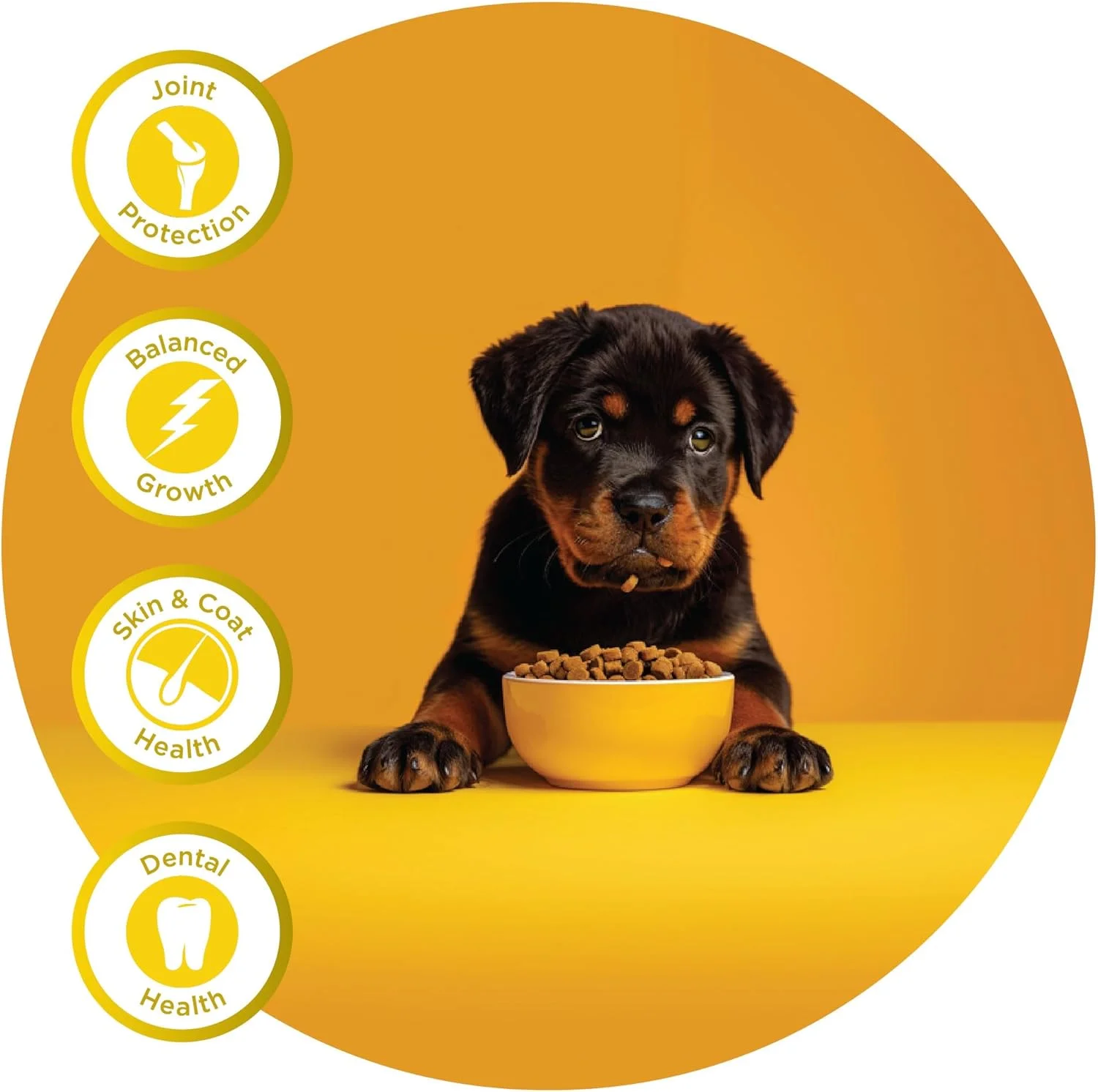 غذای خشک سگ Fidele+ یک رژیم غذایی کامل و متعادل کیسه 3 کیلوگرمی مناسب برای همه توله سگ های نژاد بزرگ بدون طعم دهنده ها، رنگ ها یا مواد نگهدارنده مصنوعی