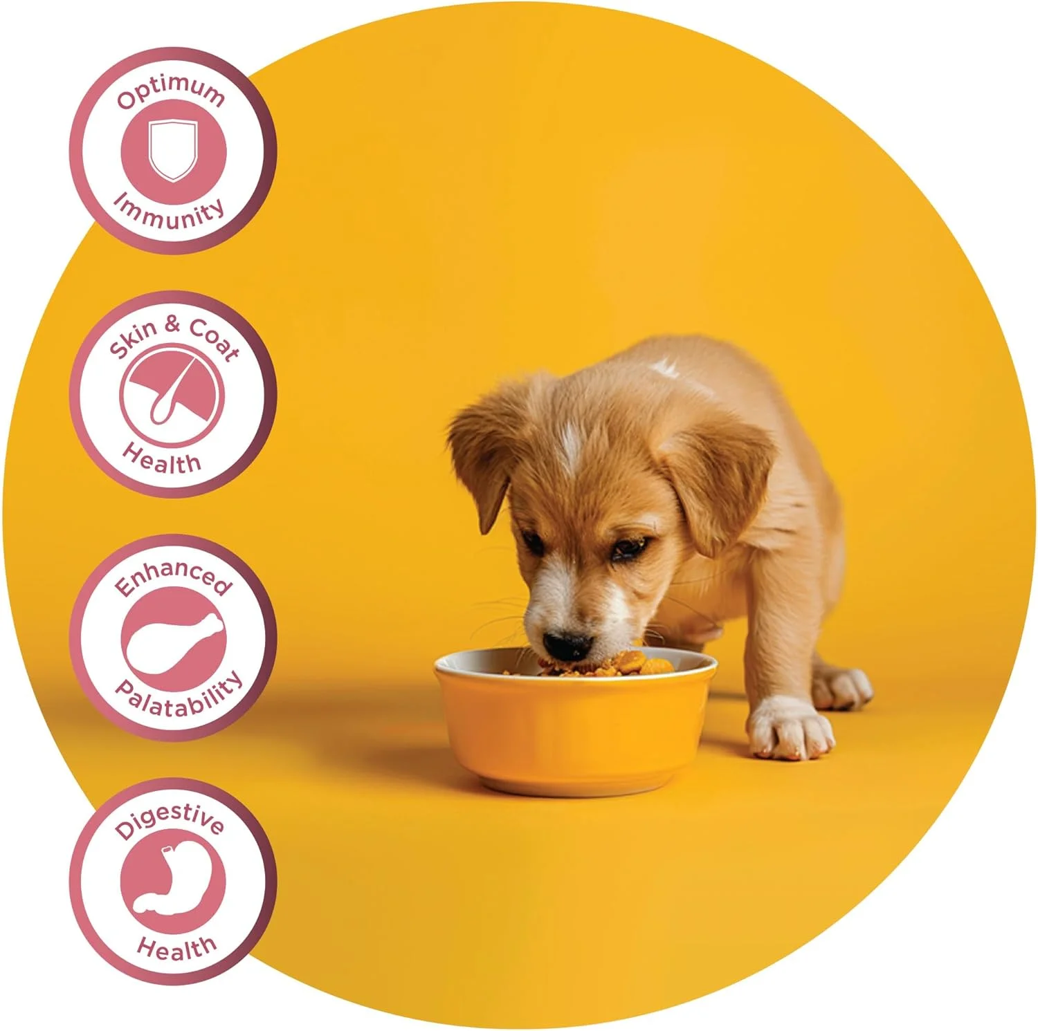 غذای خشک سگ فیدل پلاس، یک رژیم غذایی کامل و متعادل، کیسه 3 کیلوگرمی، مناسب برای همه توله سگ های نژاد کوچک و متوسط، بدون طعم دهنده، رنگ یا مواد نگهدارنده مصنوعی