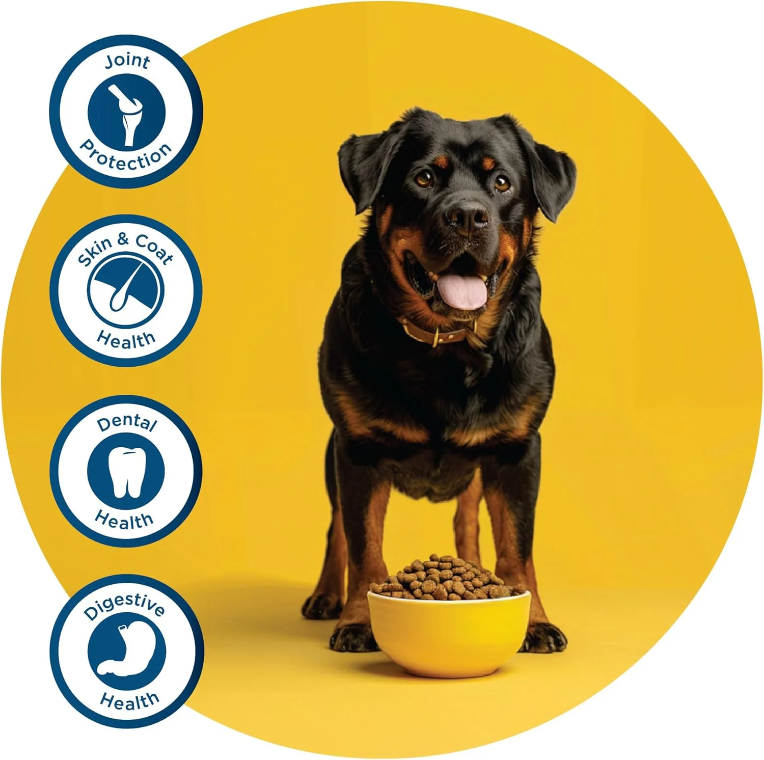 غذای خشک سگ Fidele+ یک رژیم غذایی کامل و متعادل کیسه 3 کیلوگرمی مناسب برای همه سگ های بالغ نژاد بزرگ بدون طعم دهنده های مصنوعی، رنگ یا مواد نگهدارنده