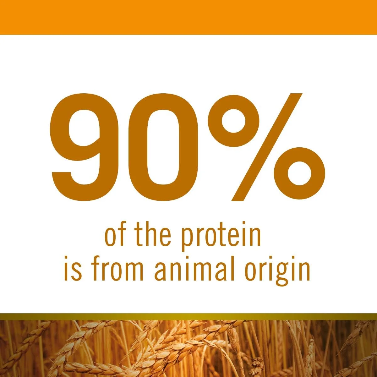 غذای خشک سگ بالغ نژاد بزرگ فارمینا Natural and Delicious با طعم مرغ، جو دوسر و انار - 15 کیلوگرم