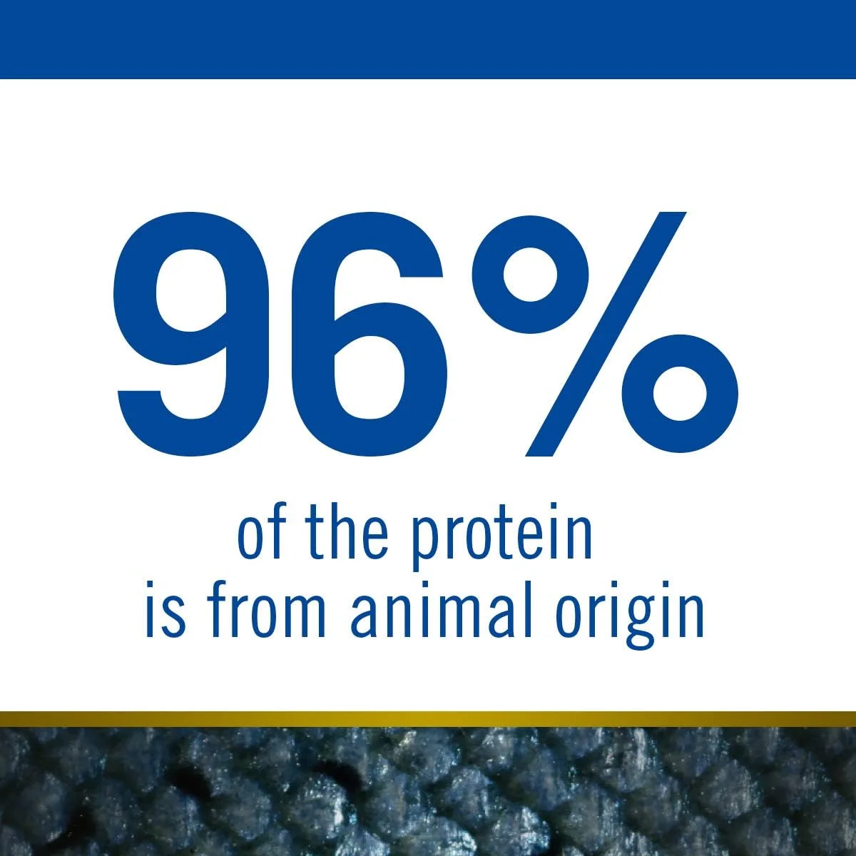 غذای خشک سگ فارمینا N&D Ocean با طعم ماهی کاد، کدو تنبل و طالبی - بدون غلات - غذای خشک سگ - توله سگ نژاد مدیوم و ماکسی (12 کیلوگرم)، 1 عدد