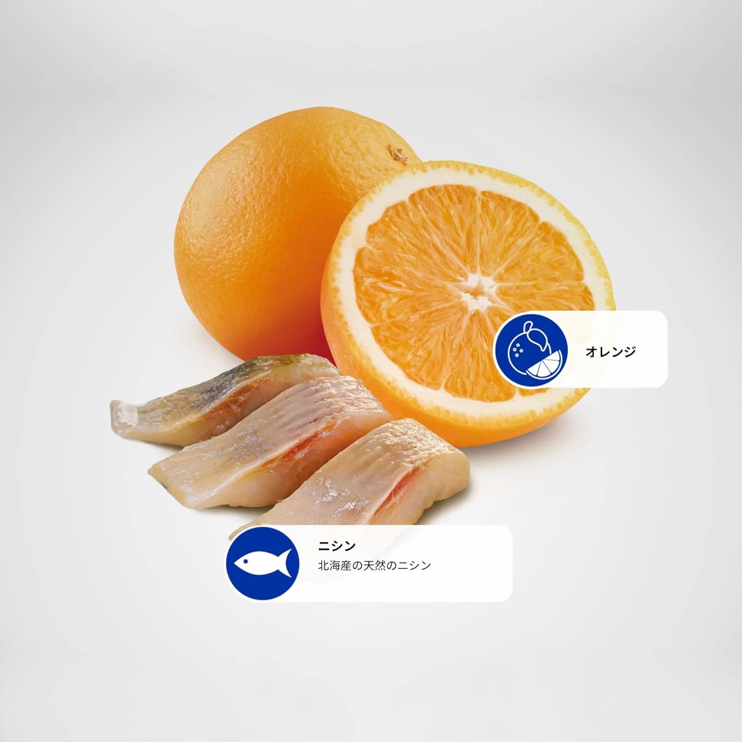 غذای خشک سگ بالغ نژاد کوچک فارمینا N&D Ocean با طعم شاه ماهی و پرتقال - 2.5 کیلوگرم