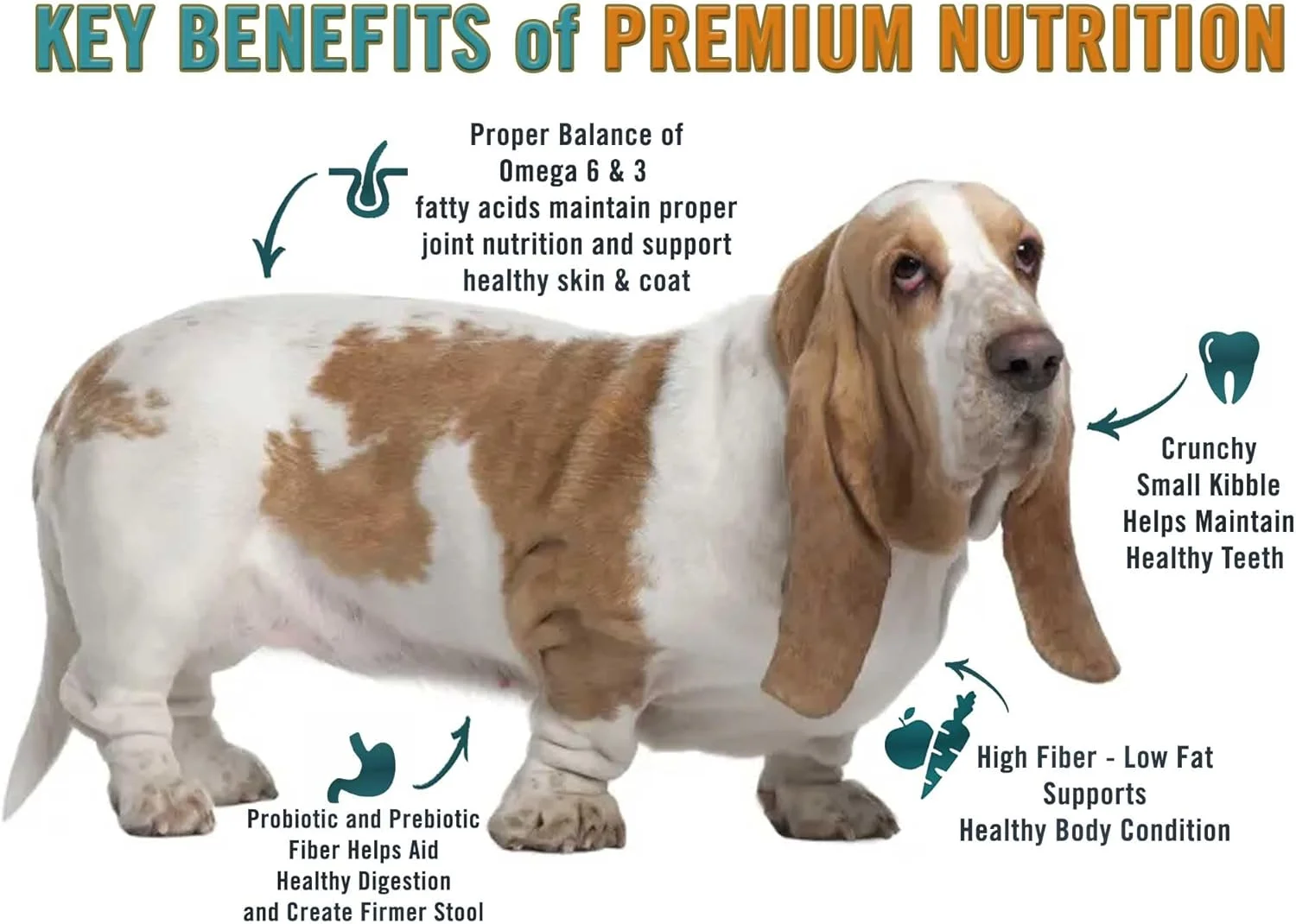 غذای خشک سگ Chicken Soup for The Soul مخصوص کنترل وزن، برنج قهوه ای، مرغ و بوقلمون، کیسه 6.1 کیلوگرمی | بدون سویا، بدون ذرت، بدون گندم | غذای خشک سگ تهیه شده با مواد اولیه واقعی