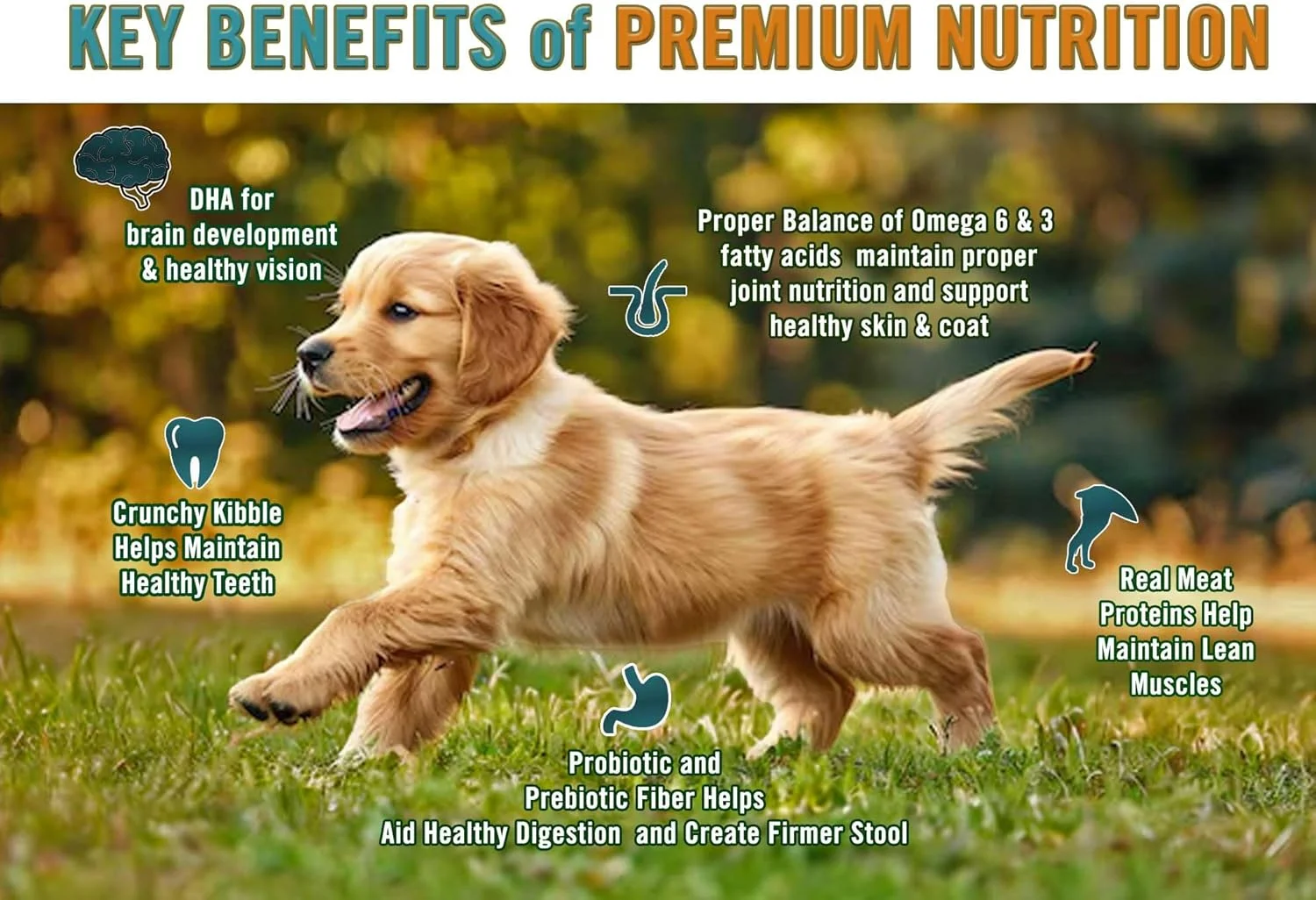 غذای خشک سگ توله مرغ، بوقلمون و برنج قهوه ای Chicken Soup for The Soul، کیسه 13.5 پوندی، بدون سویا، بدون ذرت، بدون گندم، غذای خشک سگ تهیه شده با مواد واقعی بدون طعم دهنده ها یا مواد نگهدارنده مصنوعی