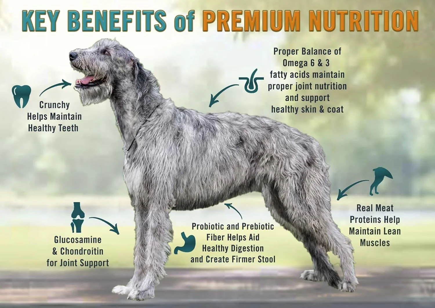 غذای سگ بالغ نژاد بزرگ Chicken Soup for the Soul - مرغ، بوقلمون و برنج قهوه ای 28 پوندی - بدون سویا، بدون ذرت، بدون گندم | غذای خشک سگ تهیه شده با مواد اولیه واقعی