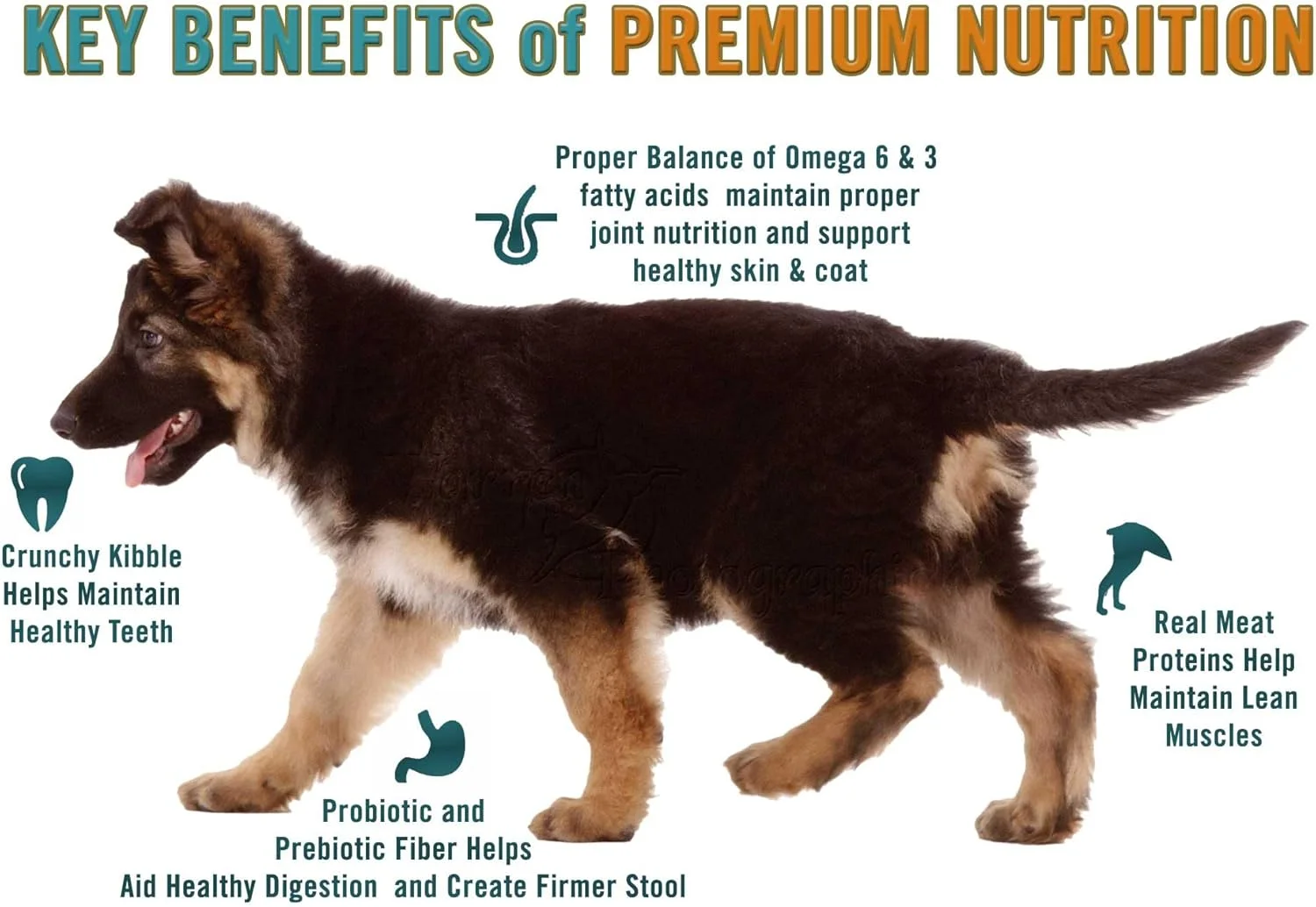 غذای خشک توله سگ نژاد بزرگ Chicken Soup for the Soul، طعم بوقلمون و برنج قهوه ای، 6.12 کیلوگرم