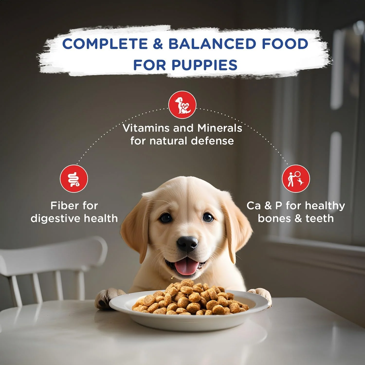 غذای خشک سگ پاپی چاپی، طعم مرغ و شیر، بسته 7 کیلوگرمی