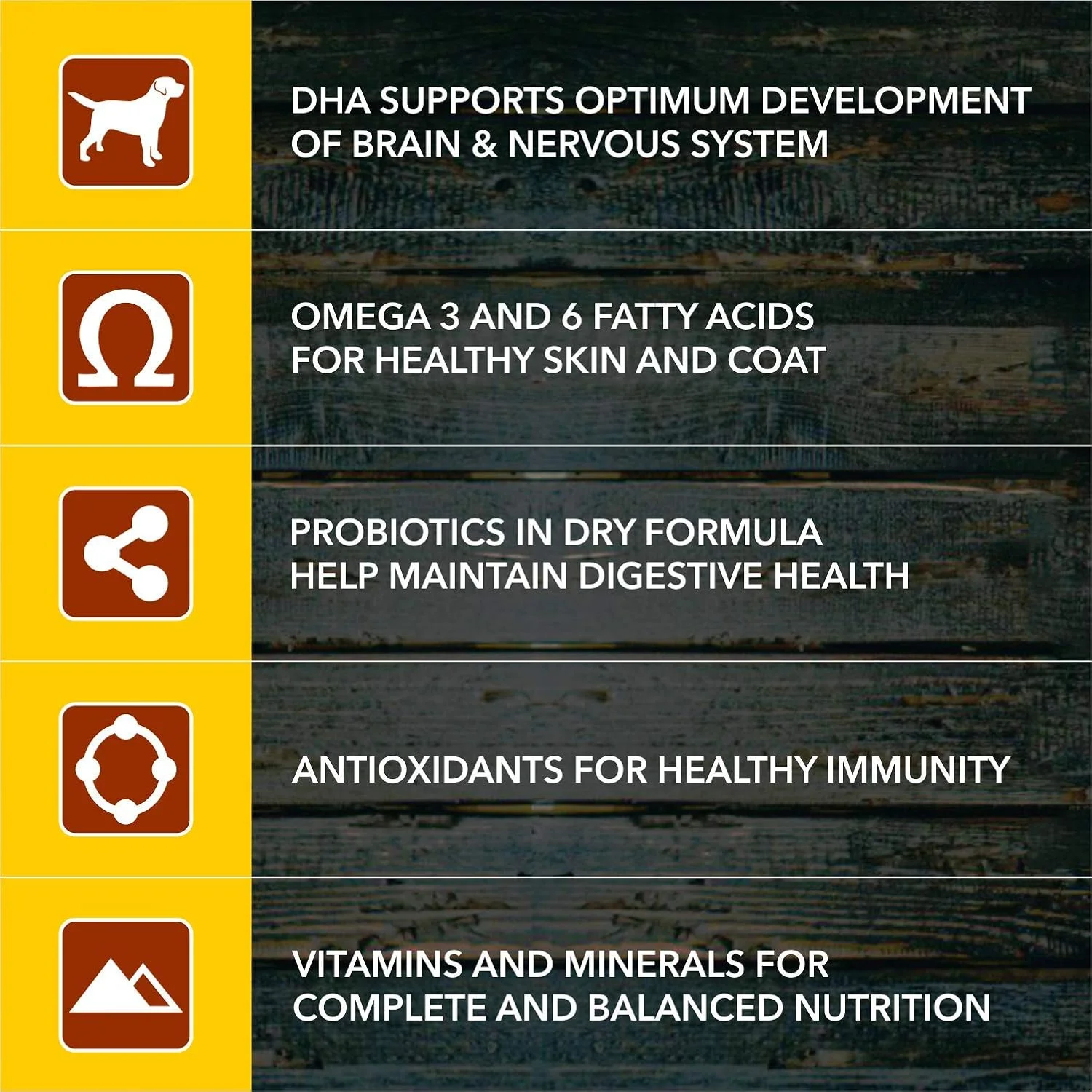 غذای خشک سگ بچه Meat Up، مرغ واقعی، 6 کیلوگرم (2 بسته 3 کیلوگرمی) | DHA برای رشد مغز، پروتئین بالا برای استخوان ها، مفاصل و رشد عضلات، امگا 3 و 6 برای پوست سالم، تقویت سیستم ایمنی