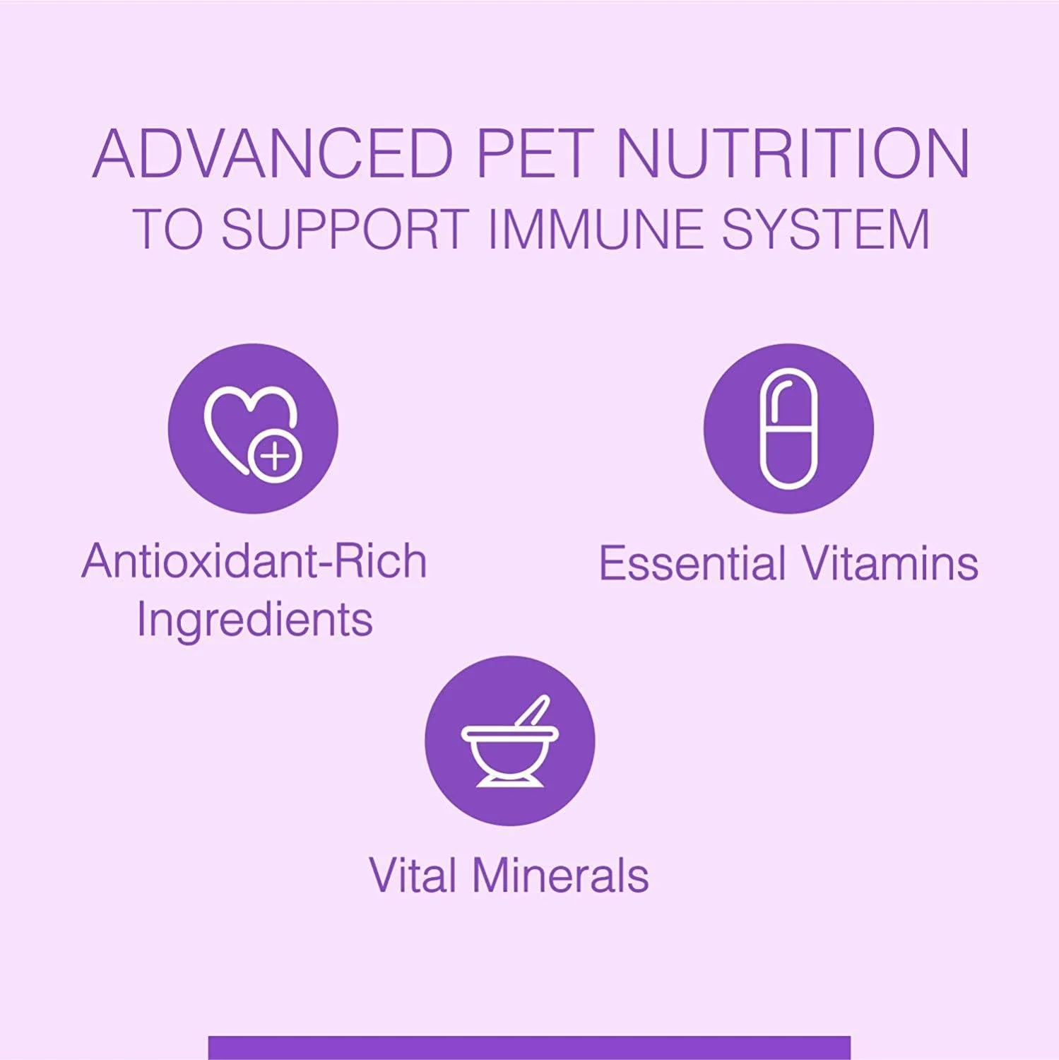 غذای خشک سگ استارتر ممتاز Canine Creek، مرغ واقعی، 4 کیلوگرم | 100% بدون غلات، DHA برای رشد مغز، 7 آنتی اکسیدان برای ایمنی، استحکام مفاصل و استخوان | برای از شیر گرفتن توله سگ ها و مادران