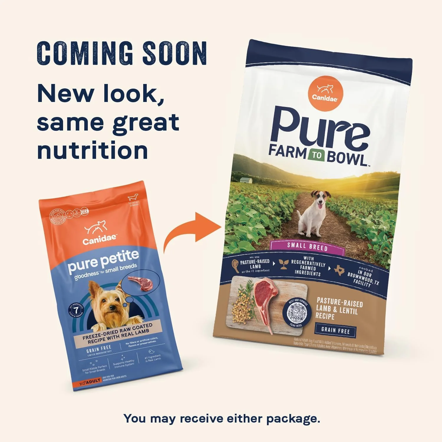 غذای خشک سگ نژاد کوچک Canidae PURE Petite با طعم بره، با مواد اولیه محدود و با کیفیت، پوشش داده شده با بره خام خشک شده، بدون غلات، 1.8 کیلوگرم