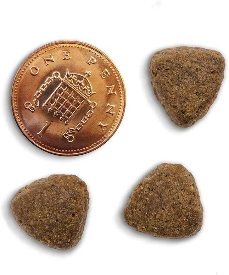 غذای خشک سگ با مرغ آزاد Canagan، ۱۲ کیلوگرم غذای خشک سگ با مرغ آزاد Canagan، ۱۲ کیلوگرم