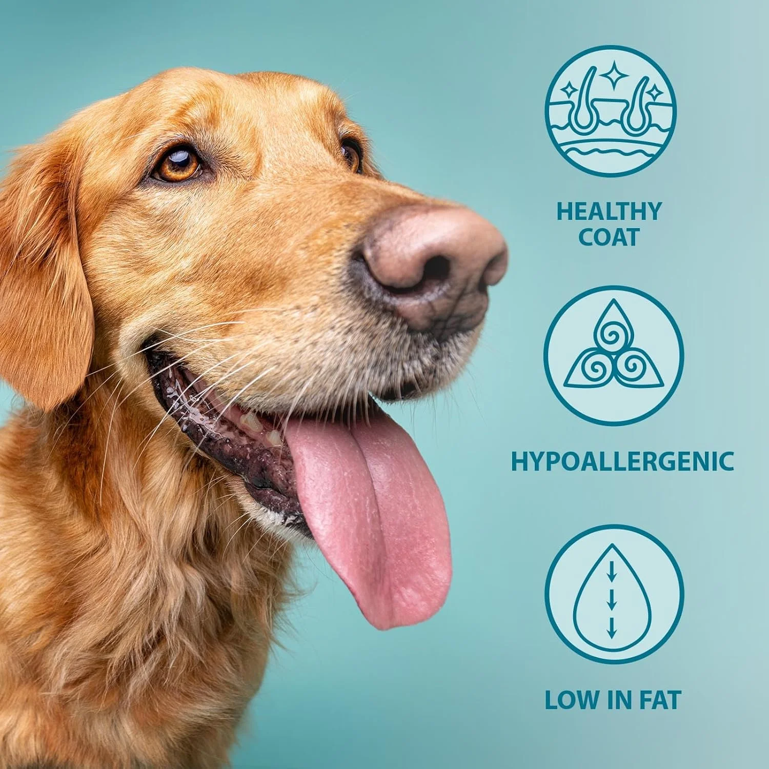 غذای خشک سگ با طعم ماهی و برنج Burns Original، ۲ کیلوگرم