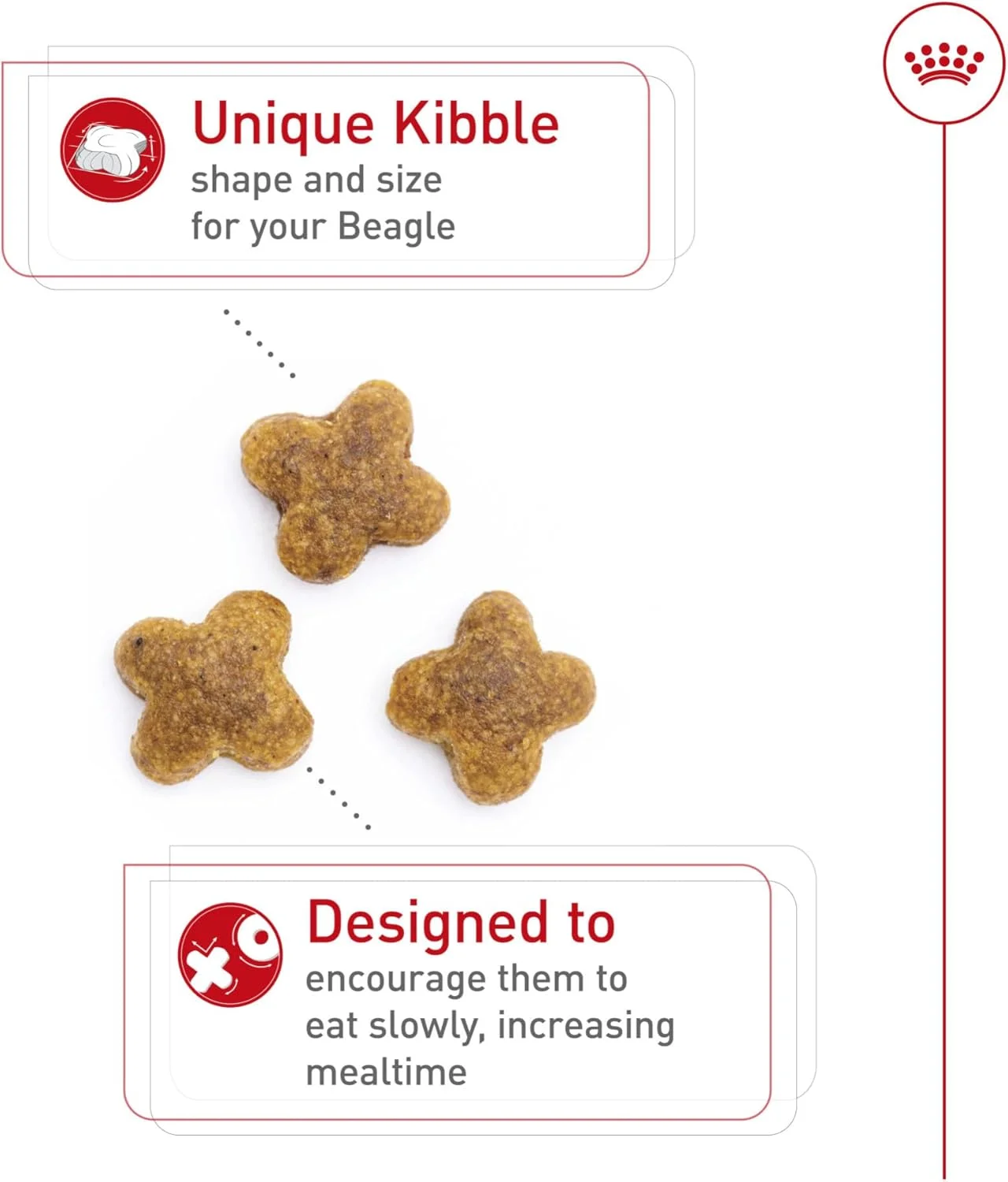 غذای خشک سگ بالغ نژاد بیگل، 2.7 کیلوگرم (rc519506) Dtf