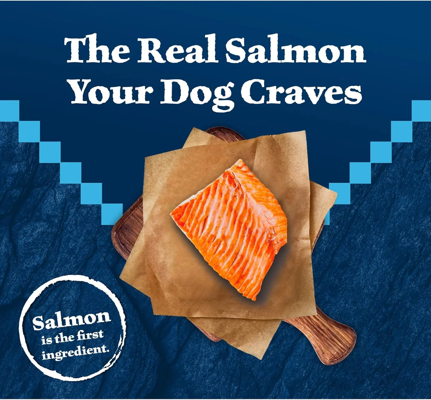 غذای خشک سگ بالغ با پروتئین بالا بلو بوفالو Wilderness، با غلات کامل، طعم سالمون، کیسه 4.5 پوندی