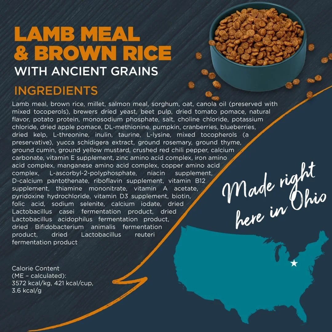 غذای خشک سگ با پوست و معده حساس بلک وود، وعده غذایی بره و برنج قهوه ای با غلات باستانی، کیسه 24 پوندی با پری بیوتیک ها و پروبیوتیک ها برای ارتقاء سلامت روده