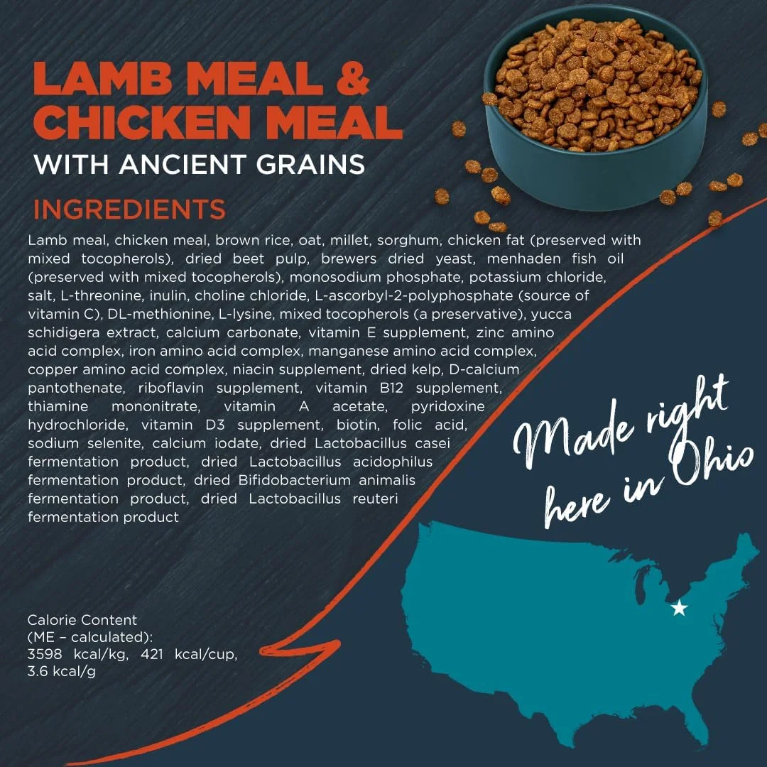 غذای خشک سگ بلک وود، رژیم غذایی کامل و متعادل، با گوشت بره و مرغ به همراه غلات باستانی، کیسه 11 کیلوگرمی، پخته شده به آرامی با ویتامین ها و مواد معدنی