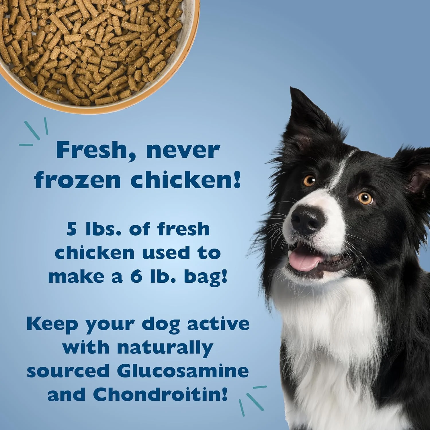 غذای خشک سگ بالغ نژاد متوسط و بزرگ Bil-Jac Picky No More با طعم مرغ و جگر مرغ - 6 پوند (دو بسته ای)