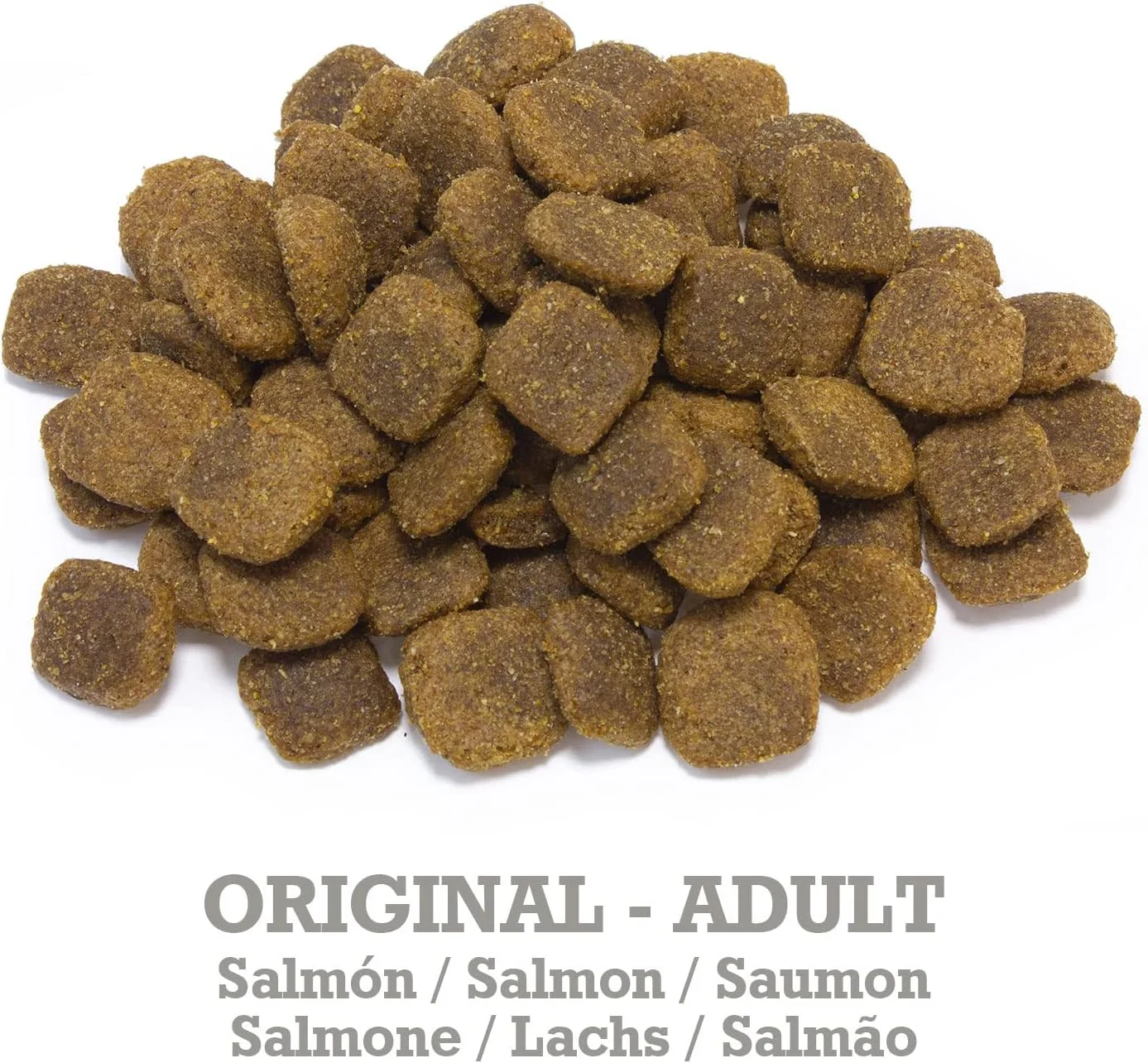 آرکیویت اورجینال - غذای سگ بالغ با طعم سالمون و برنج - غذای سگ سالمون و برنج - 3 کیلوگرم - غذای خشک سگ - مناسب برای تمامی نژادها - مواد تشکیل دهنده طبیعی