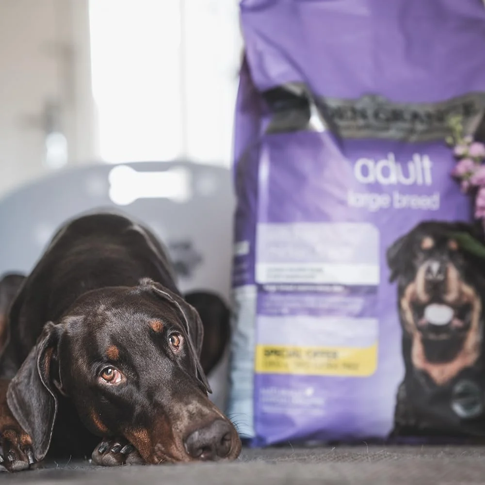 غذای خشک سگ نژاد بزرگسال آردن گرانج - 12 کیلوگرم