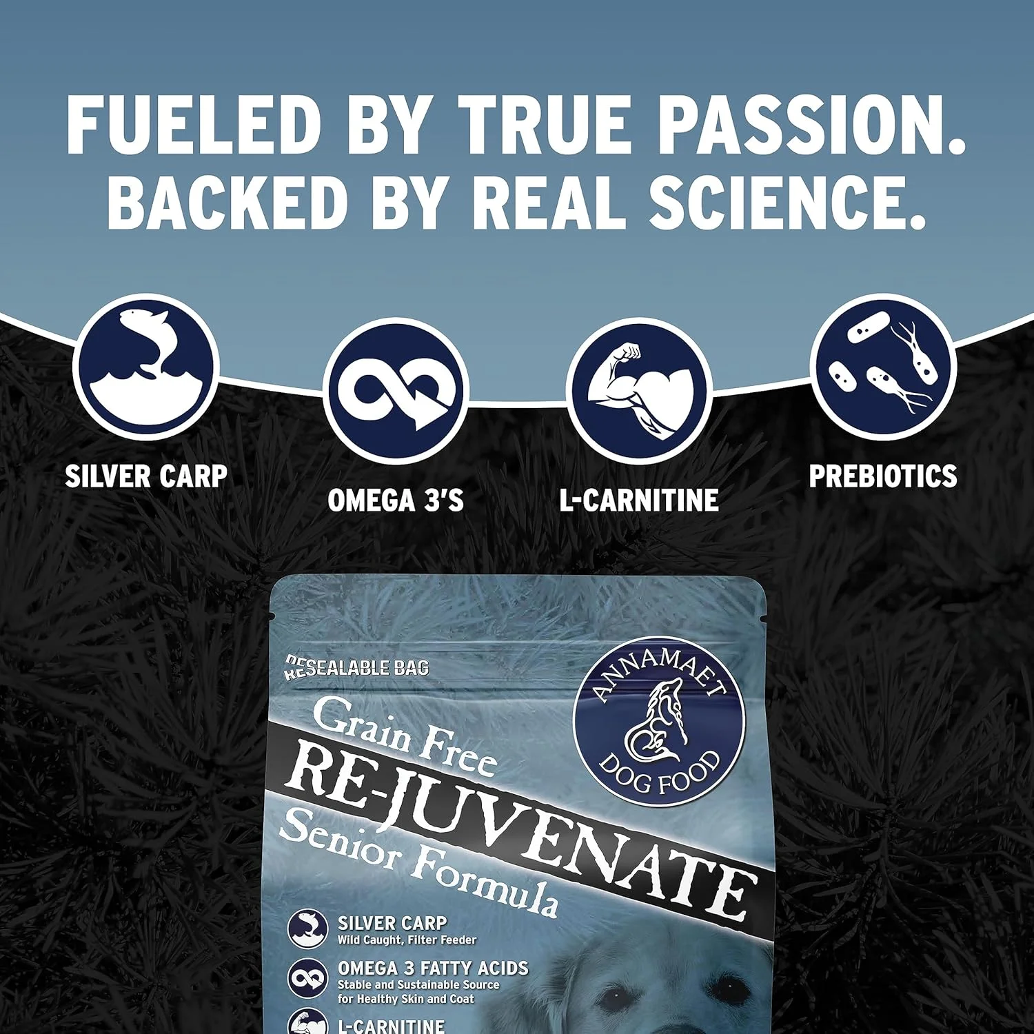 غذای خشک سگ بدون غلات Annamaet Re-Juvenate مخصوص سگ های مسن (کپور نقره ای تازه و بوقلمون)، کیسه 12 پوندی