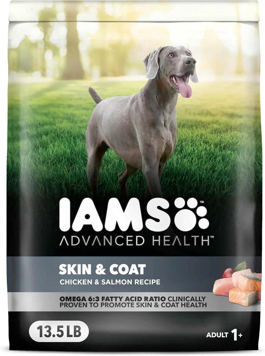 غذای خشک سگ بالغ با طعم مرغ و ماهی سالمون Iams Advanced Health Skin & Coat، کیسه 13.5 پوندی