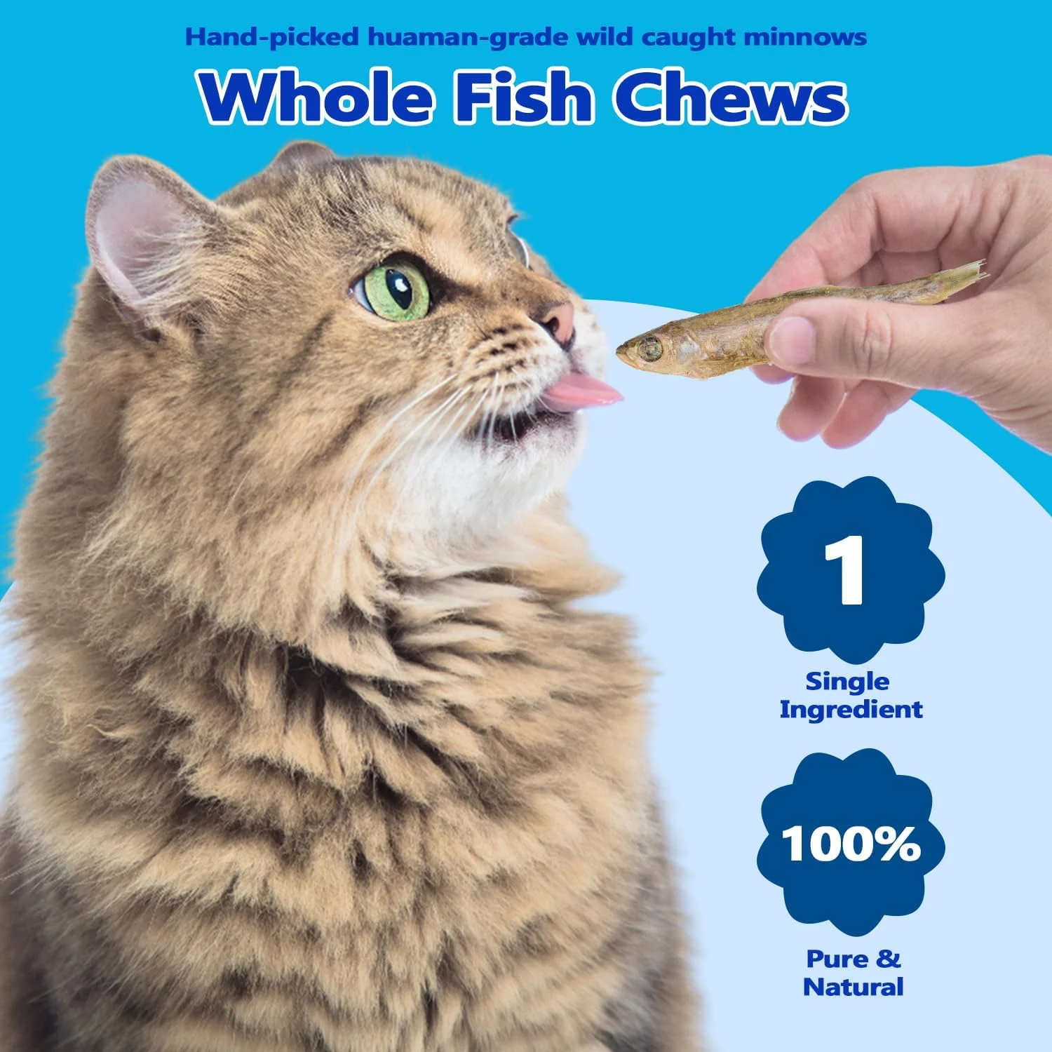 ماهی های کوچک Amzey - خشک شده انجمادی 200 گرم - خوراکی گربه ممتاز 100% طبیعی - خوراکی ماهی های کوچک - ماهی های کوچک خشک شده انجمادی برای گربه ها و سگ ها - بسته بزرگ ماهی های کوچک (طول هر کدام 4 تا 7 سانتی متر)