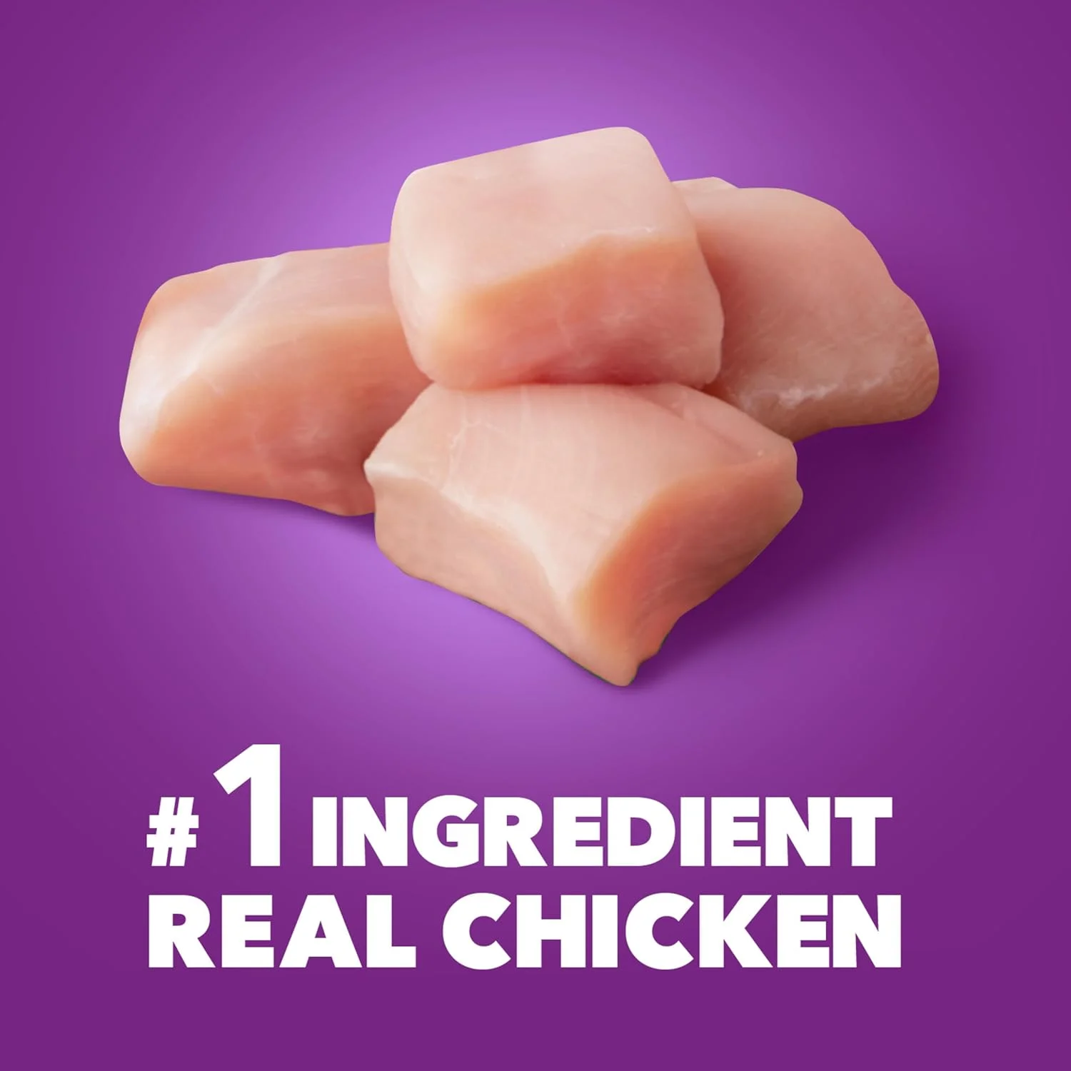 غذای خشک سگ بالغ با طعم مرغ و ماهی سالمون Iams Advanced Health Skin & Coat، کیسه 13.5 پوندی