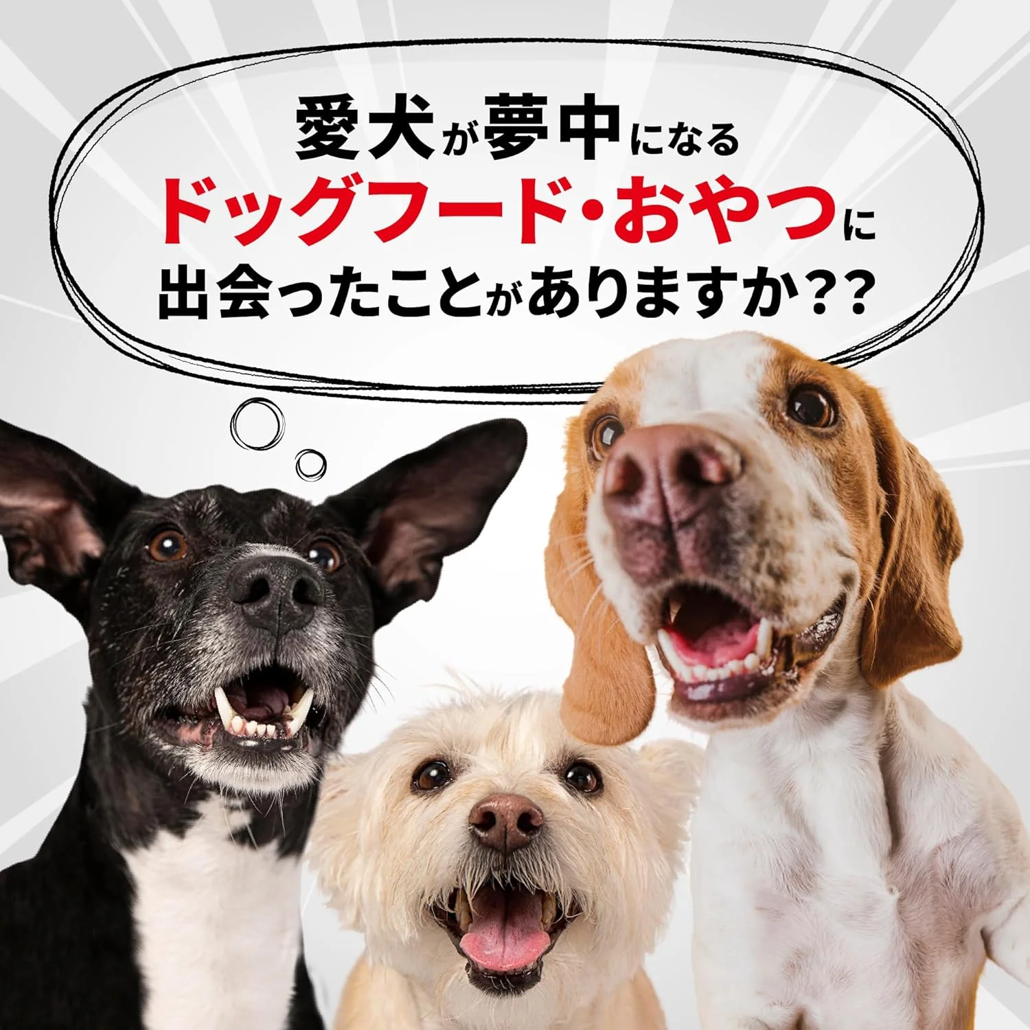 غذای خشک سگ با طعم بره و سالمون Absolute Holistic - وزن 1 کیلوگرم