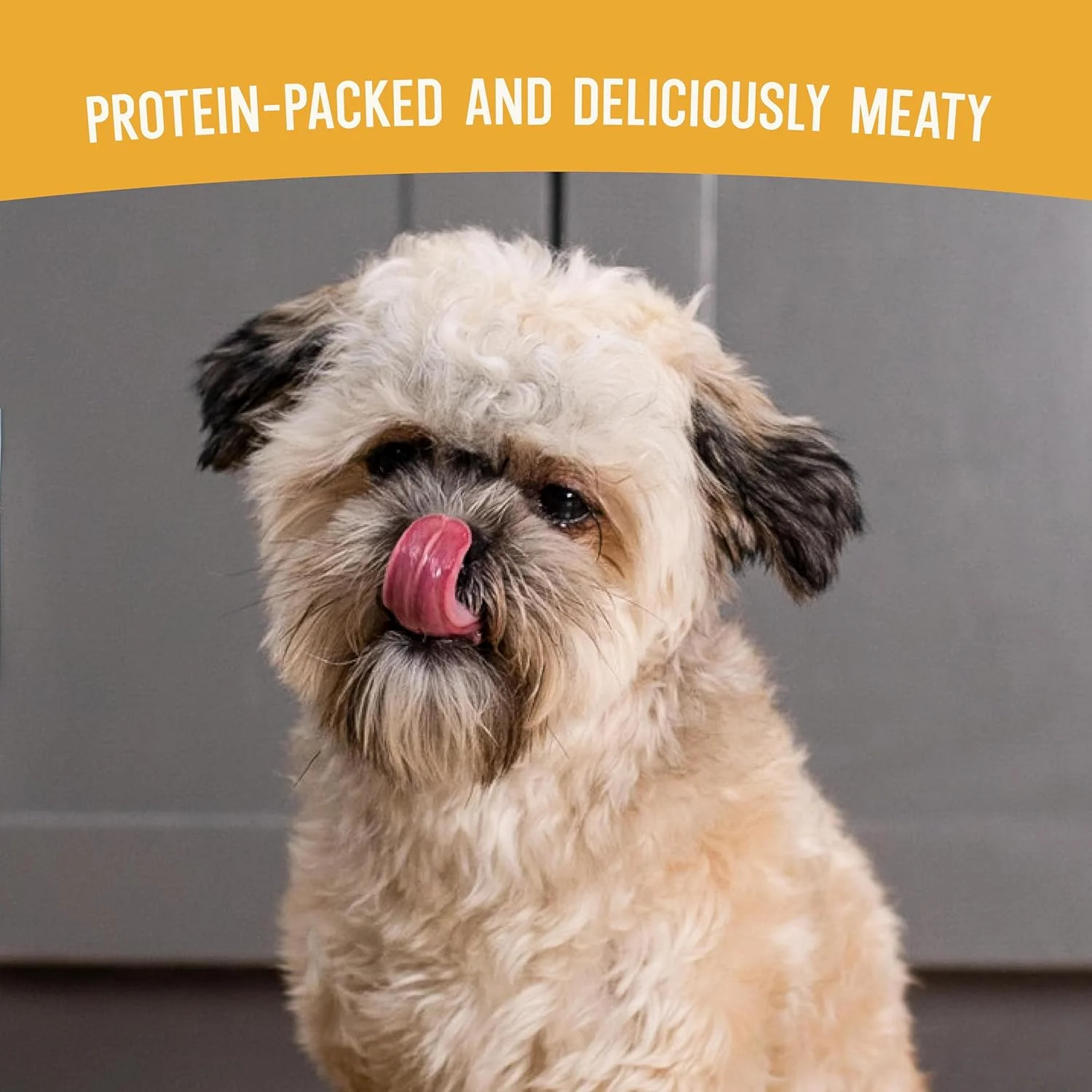 غذای خشک سگ Open Farm، خشک شده در هوا با طعم آب قلم، بدون غلات و حبوبات، غذای کامل یا مکمل غذا، دستور پخت مرغ برداشت شده، کیسه 2 پوندی